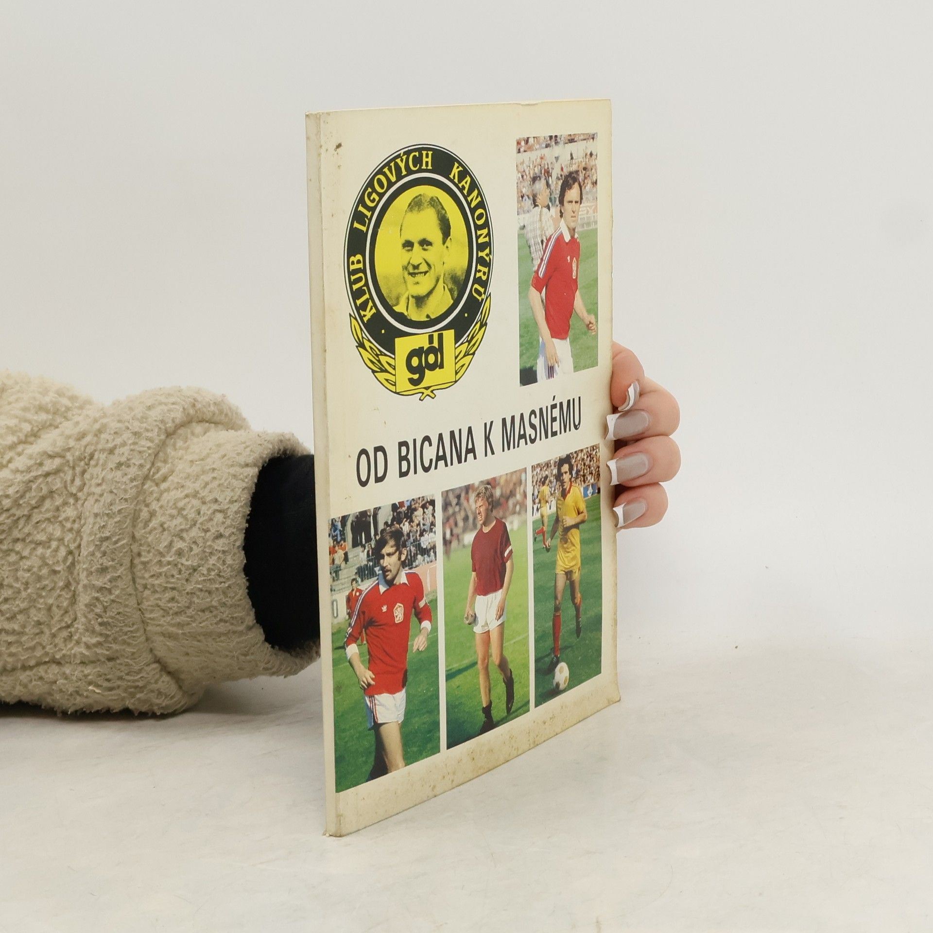 Hrubý a. kol Dolejš Od Bicana k Masnému