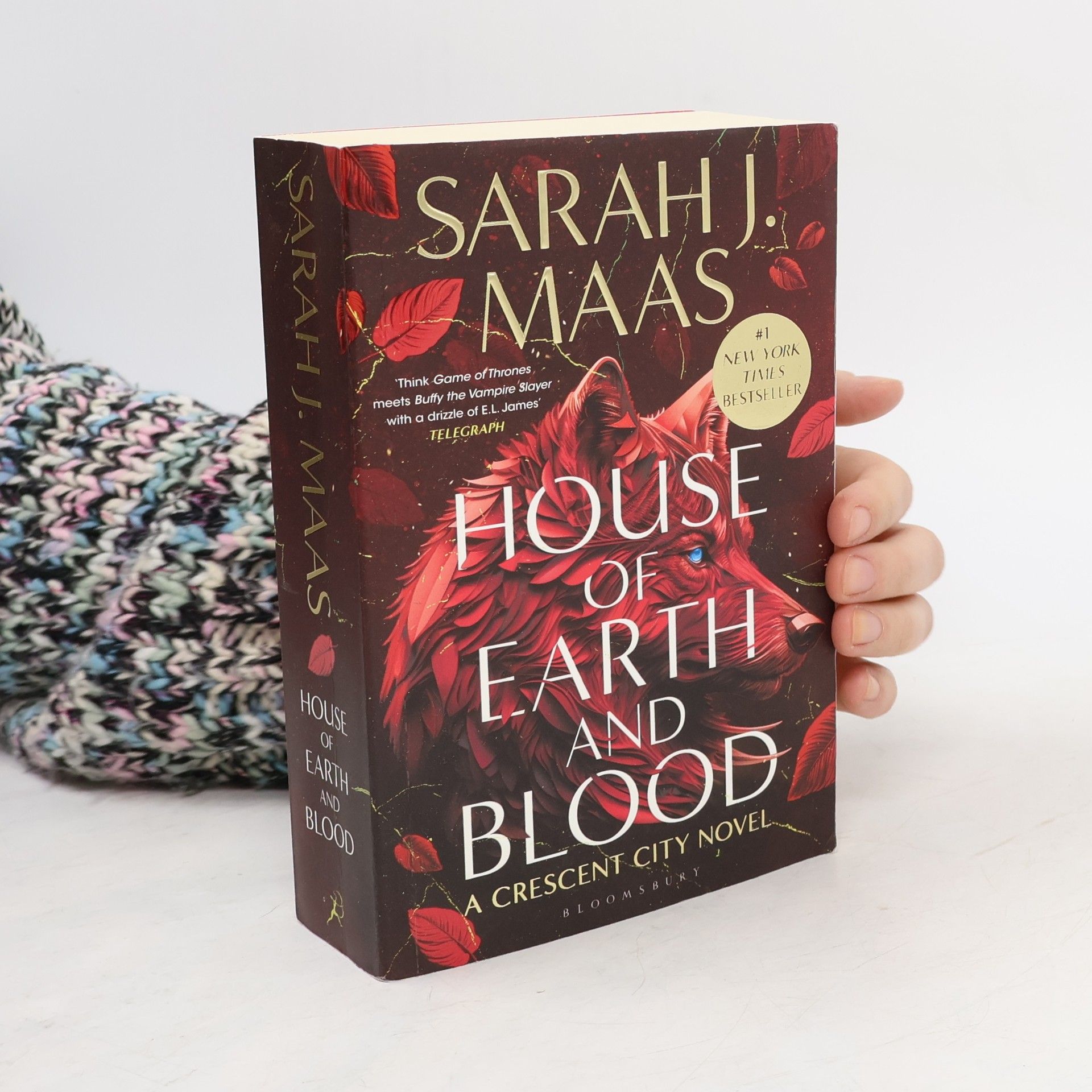 Sarah J. Maas House of Earth and Blood