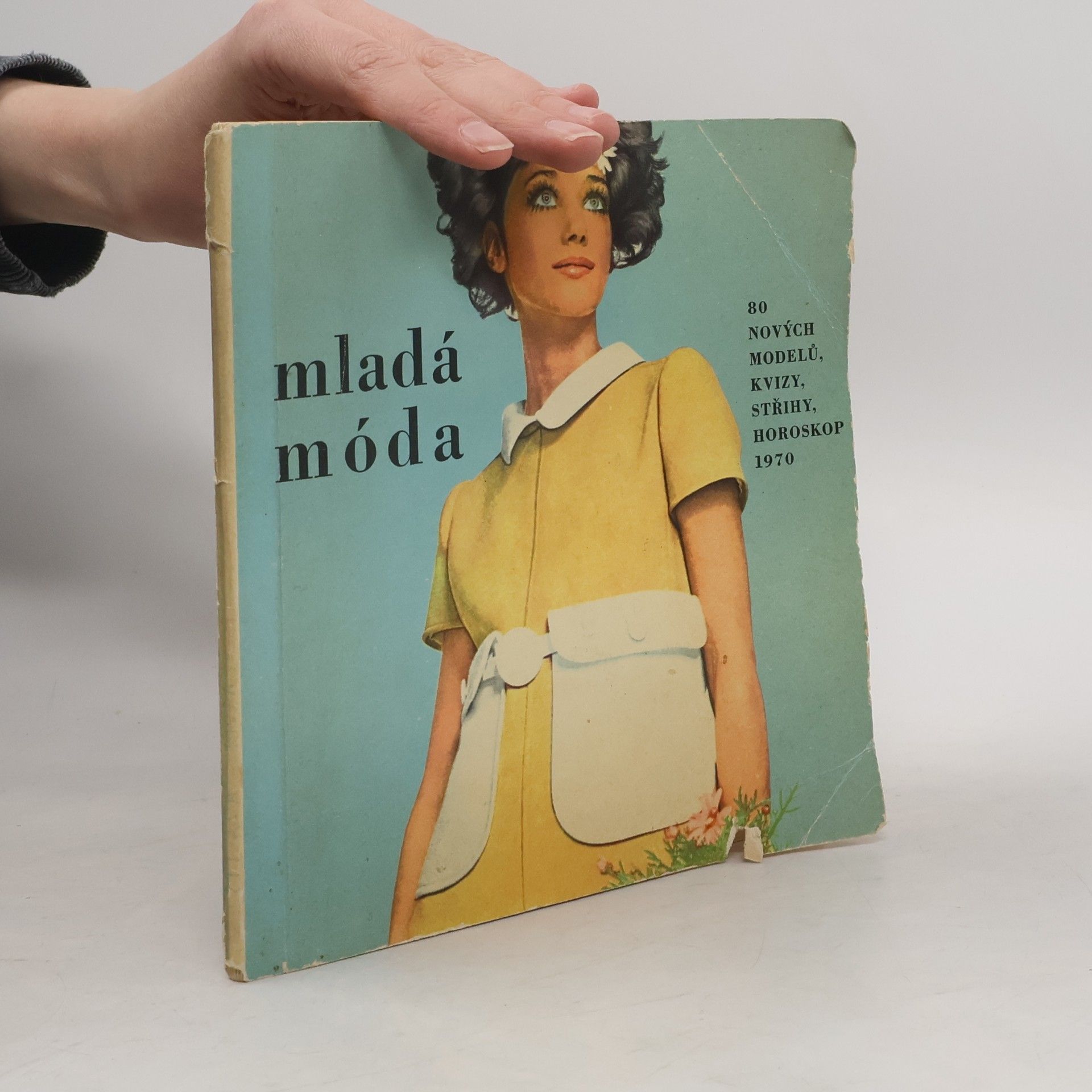 Kolektiv autorů mladá móda