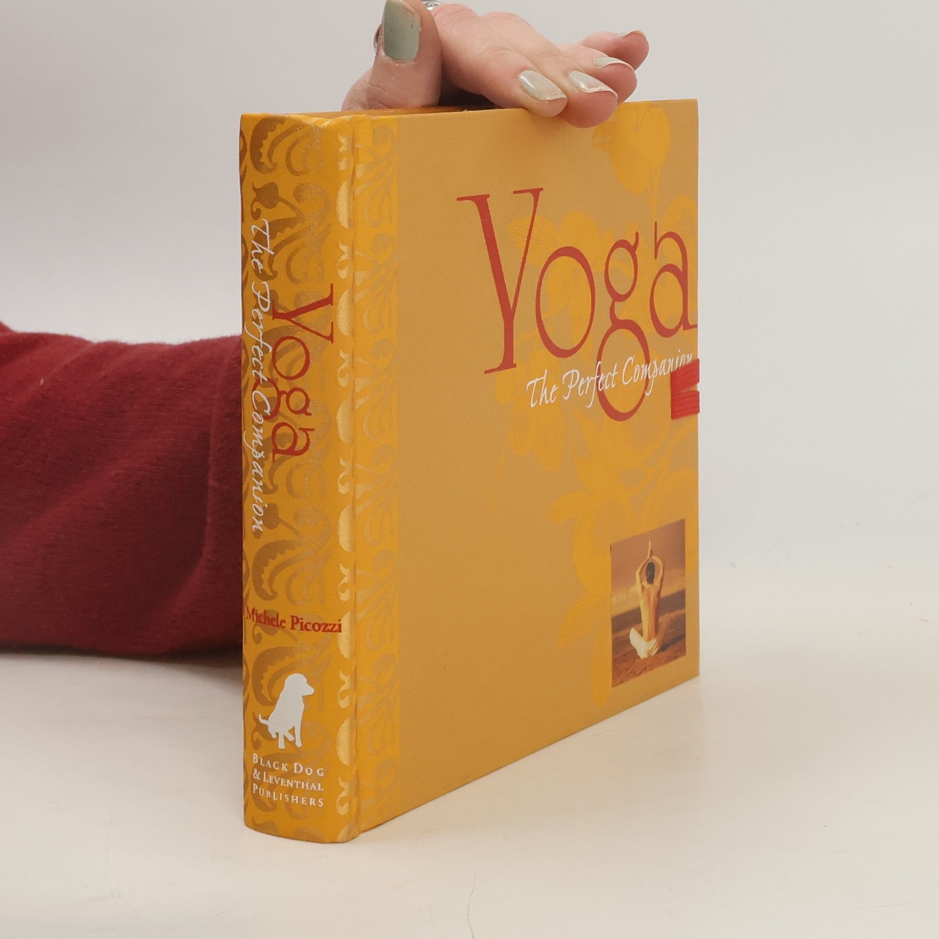 Michele Picozzi Yoga : the perfect companion.