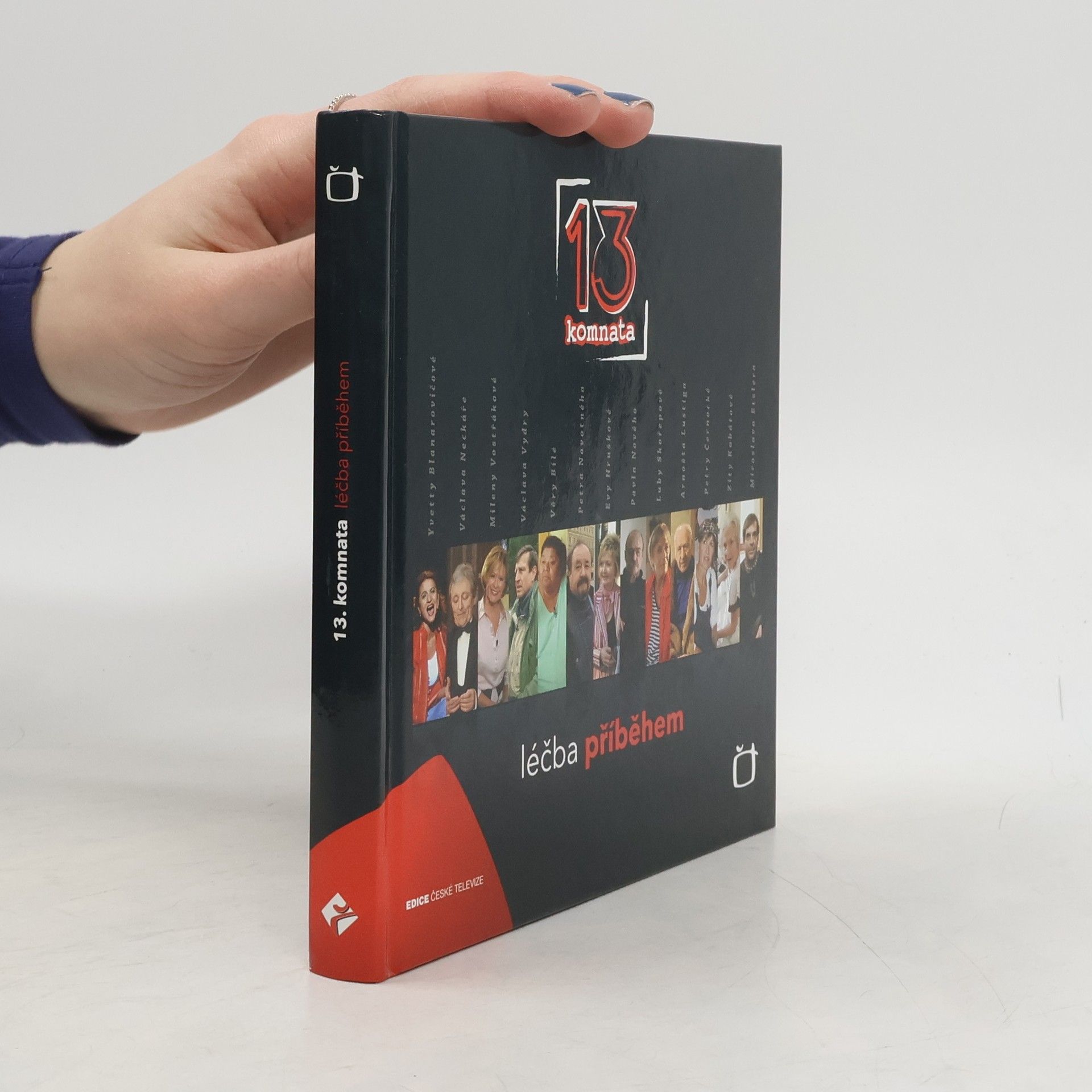 13. komnata. Léčba příběhem