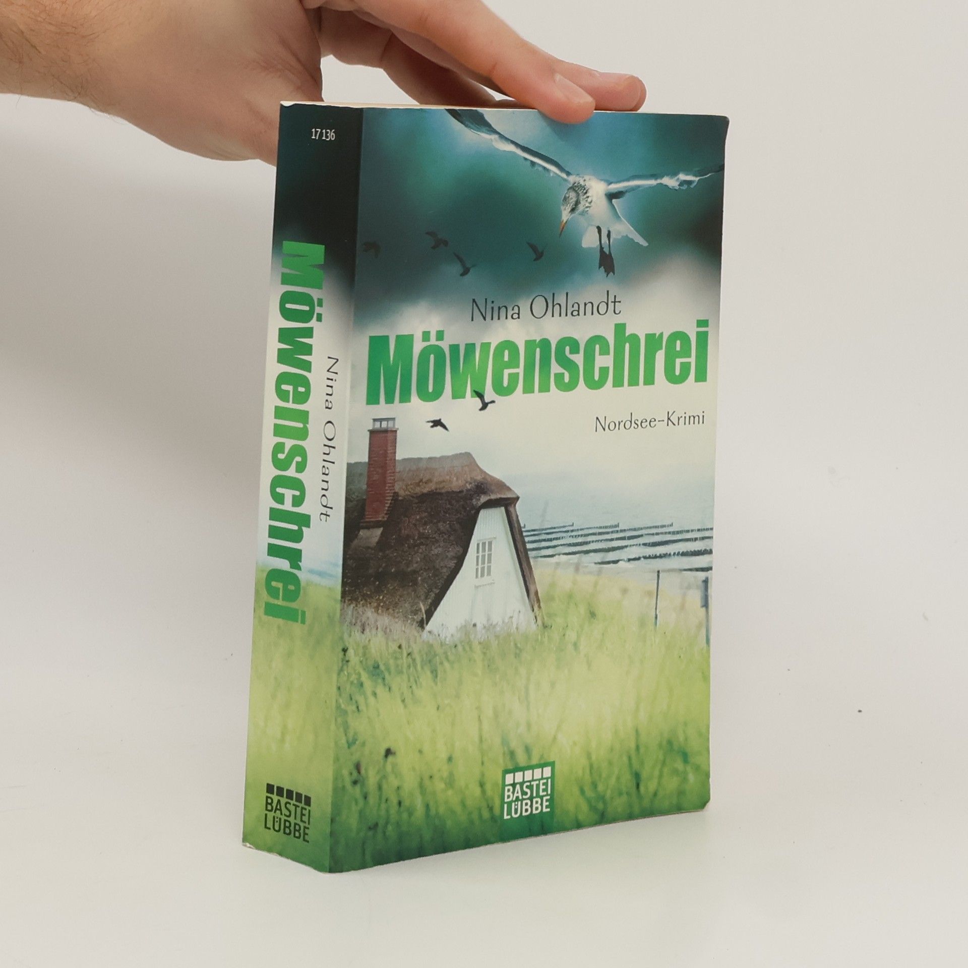 Nina Ohlandt Möwenschrei