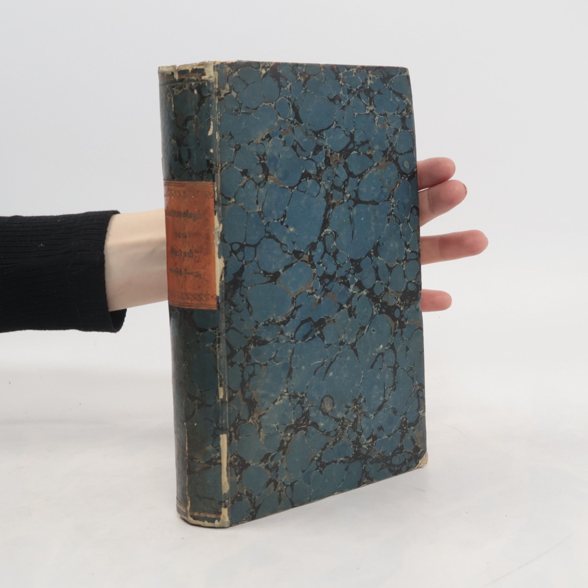 Ernst Burdach Der Mensch nach den verschiedenen Seiten seiner Natur