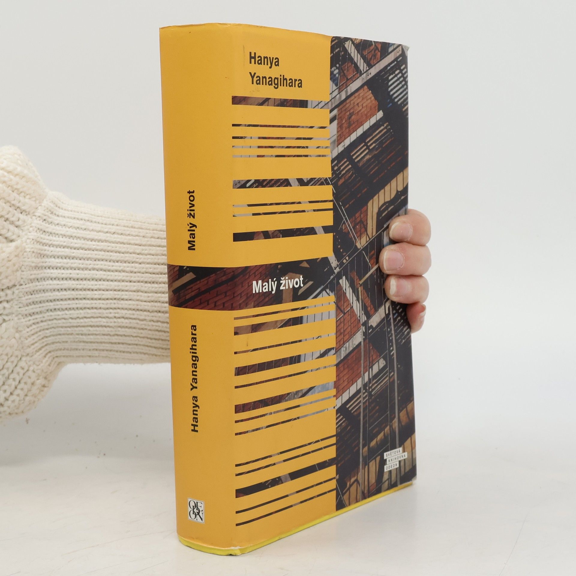 Hanya Yanagihara Malý život