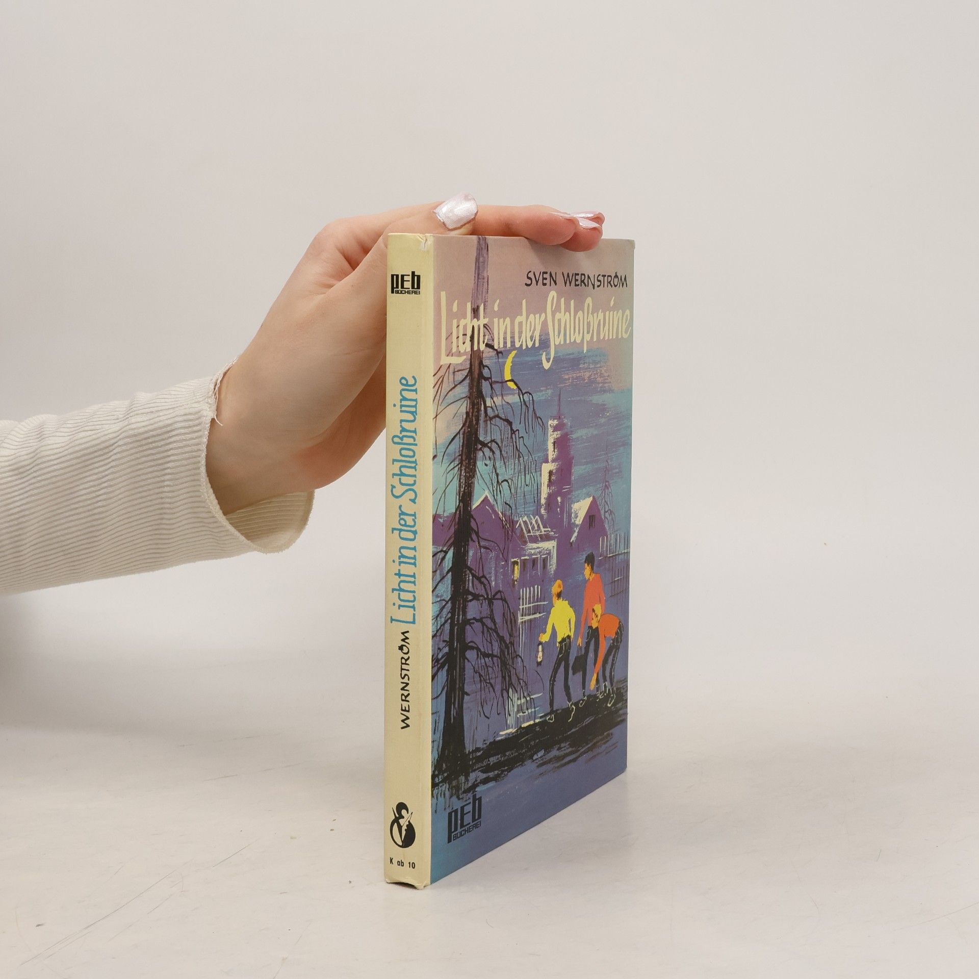 Licht in der Schloßruine