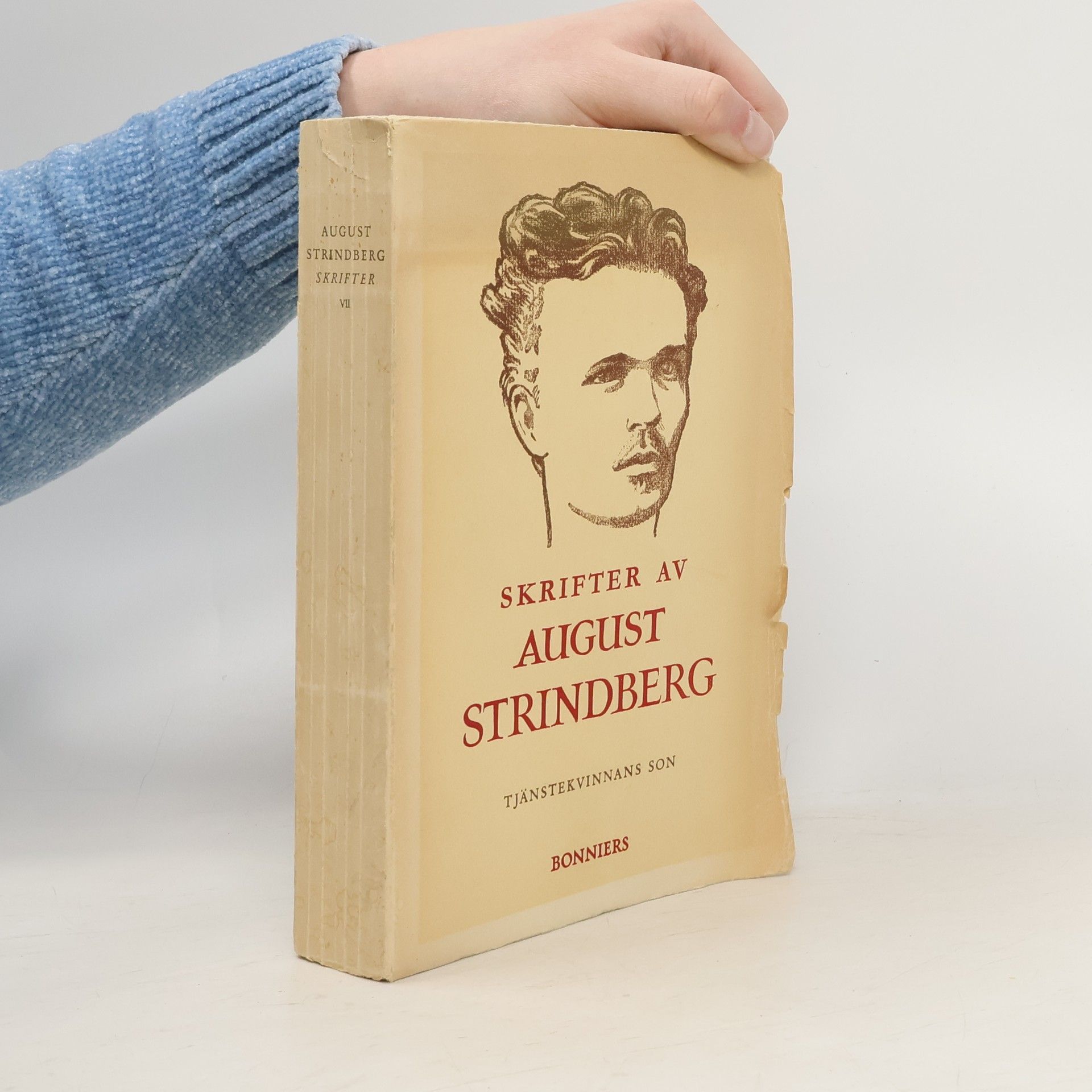 August Strindberg Tjänstekvinnans son