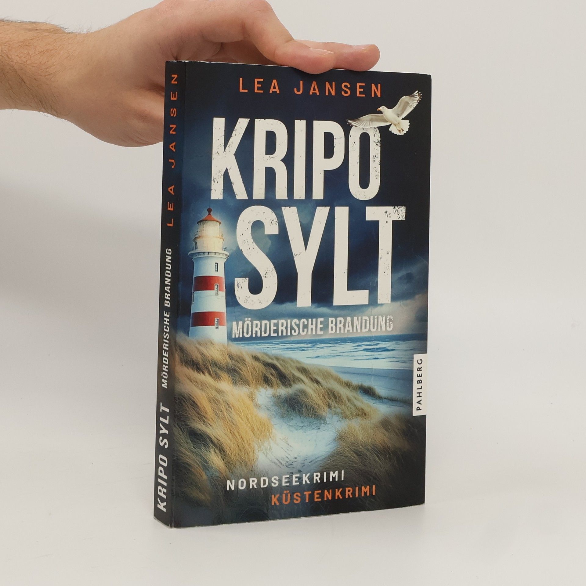 Lea Jansen Kripo Sylt - Mörderische Brandung