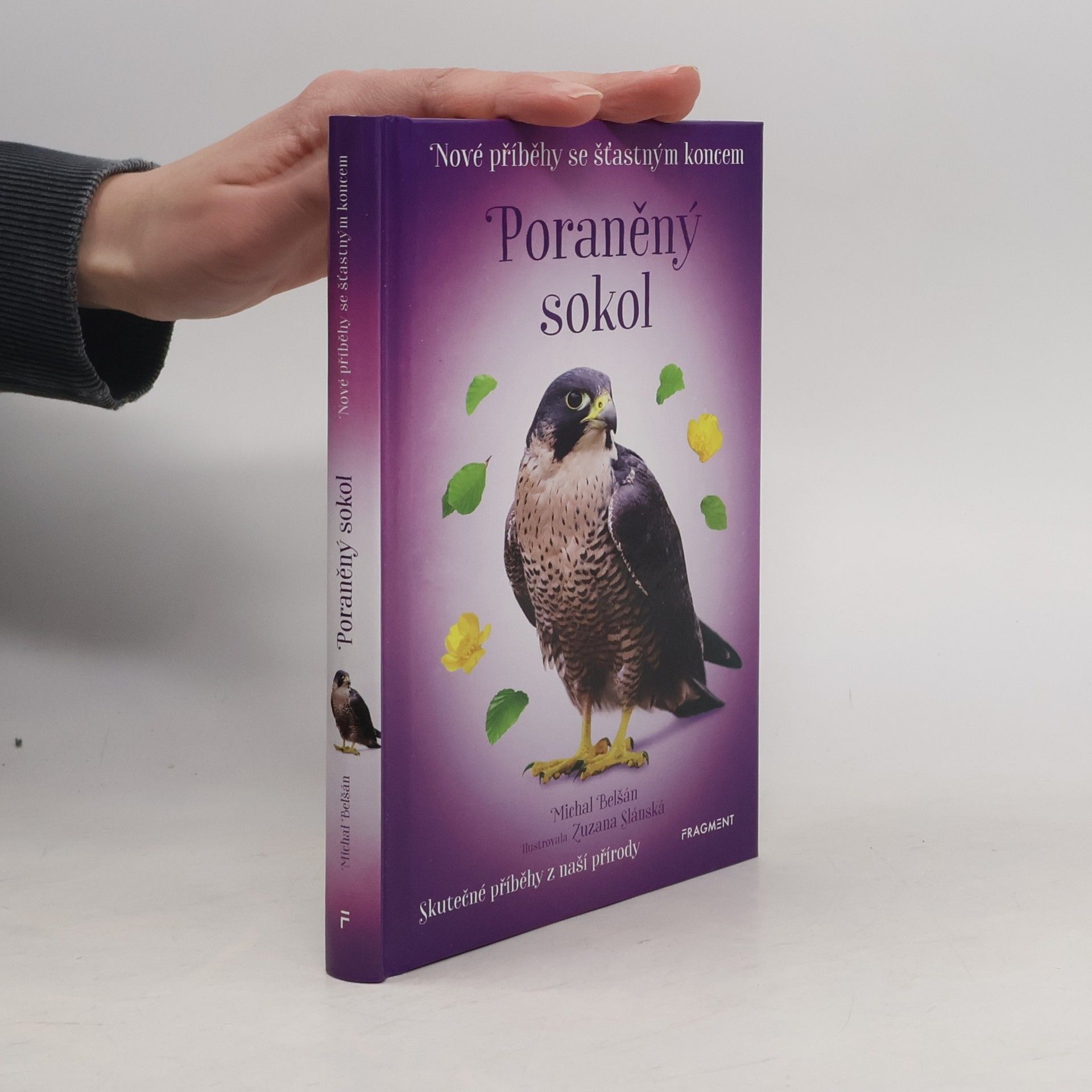 Michal Belšán Poraněný sokol