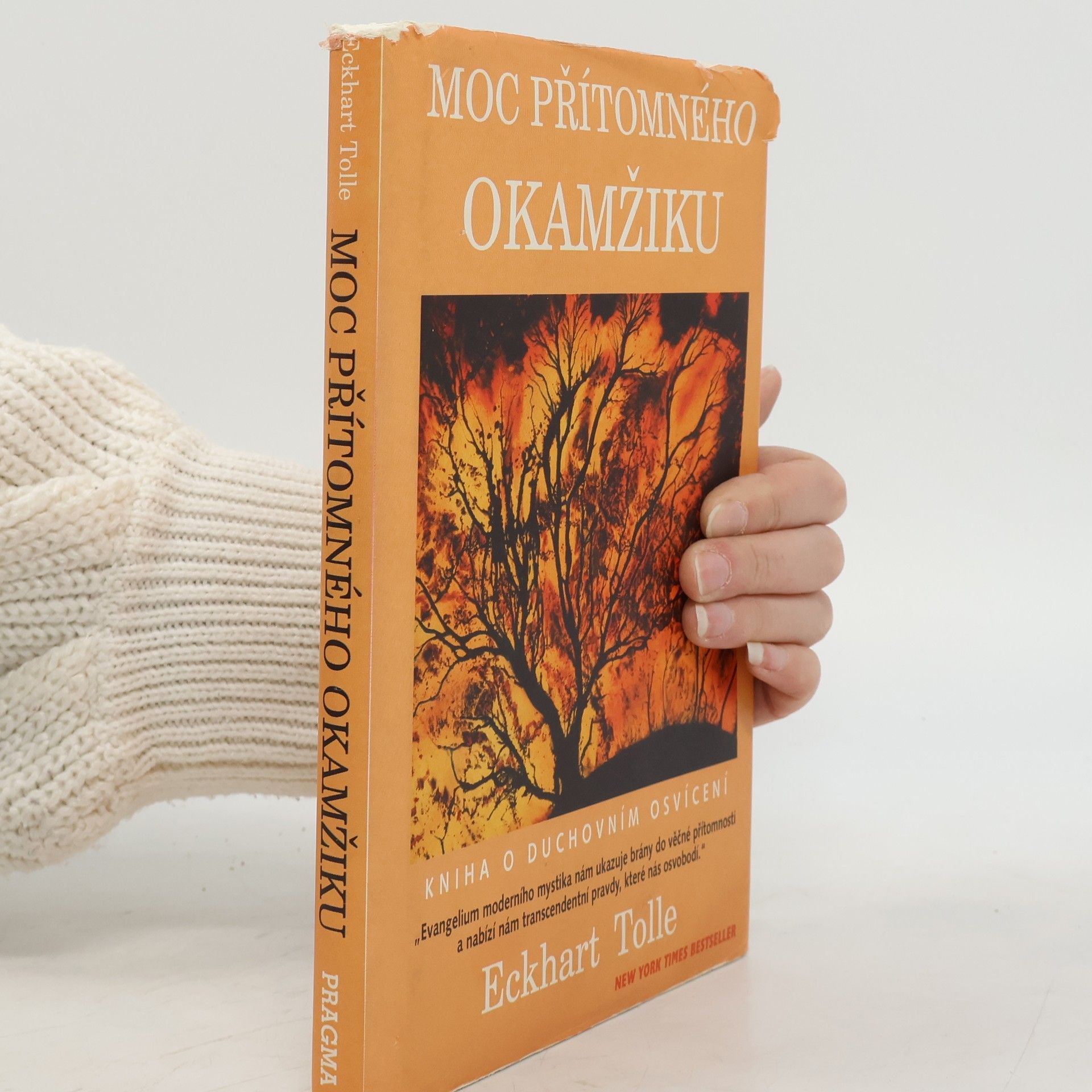 Eckhart Tolle Moc přítomného okamžiku