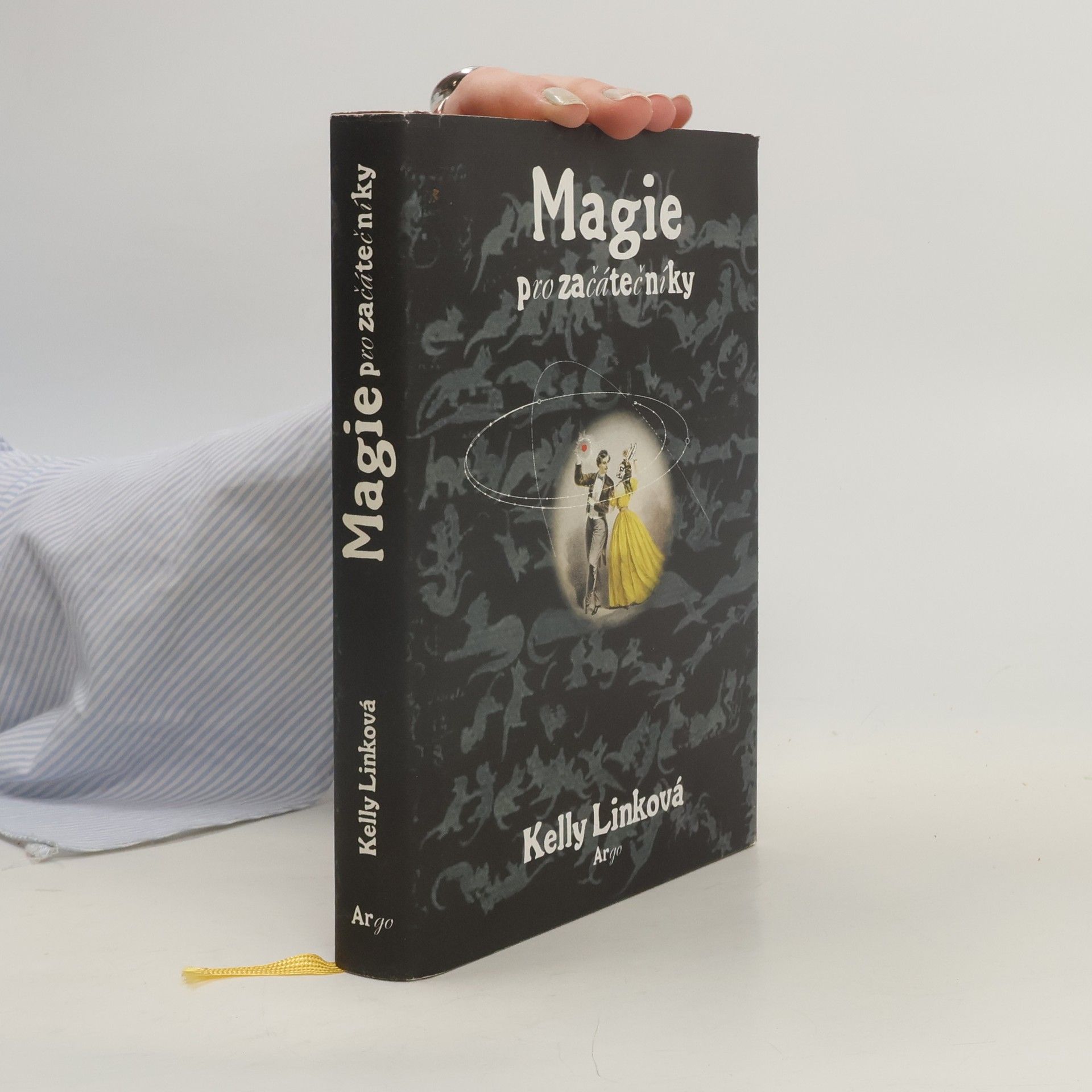 Kelly Link Magie pro začátečníky
