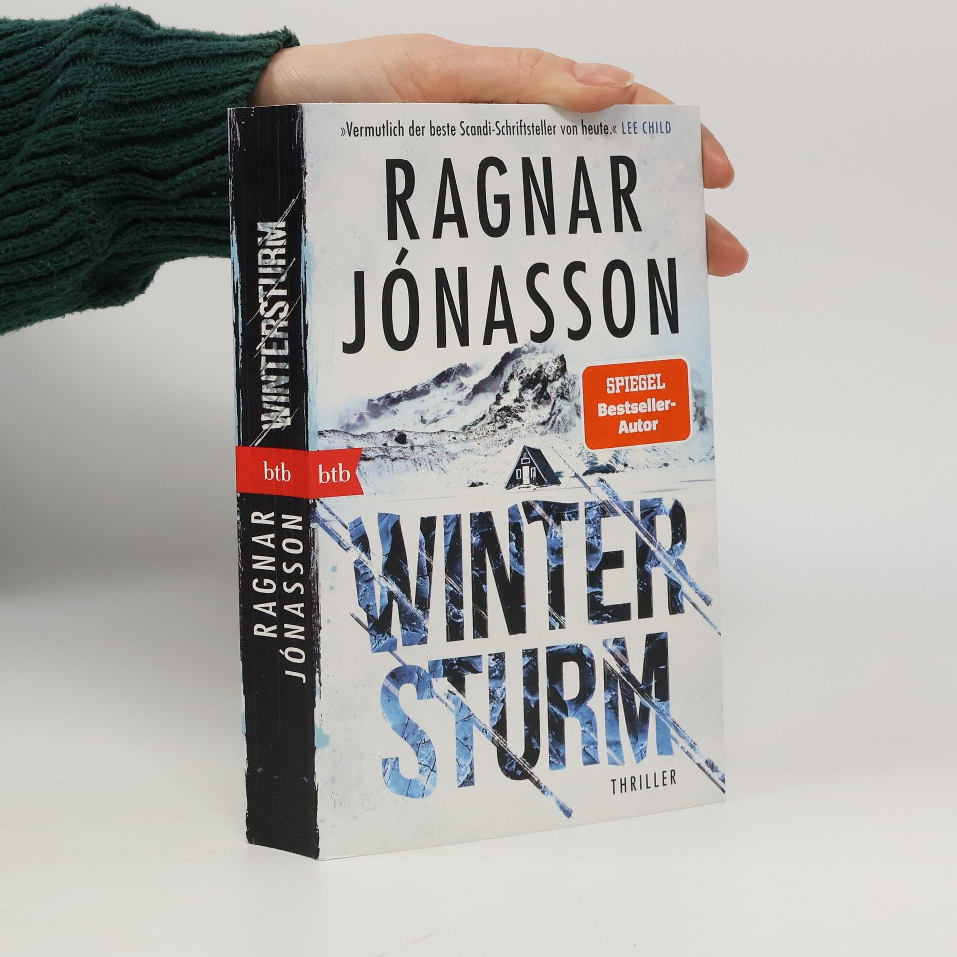 Dark-Iceland-Reihe - 6: Wintersturm