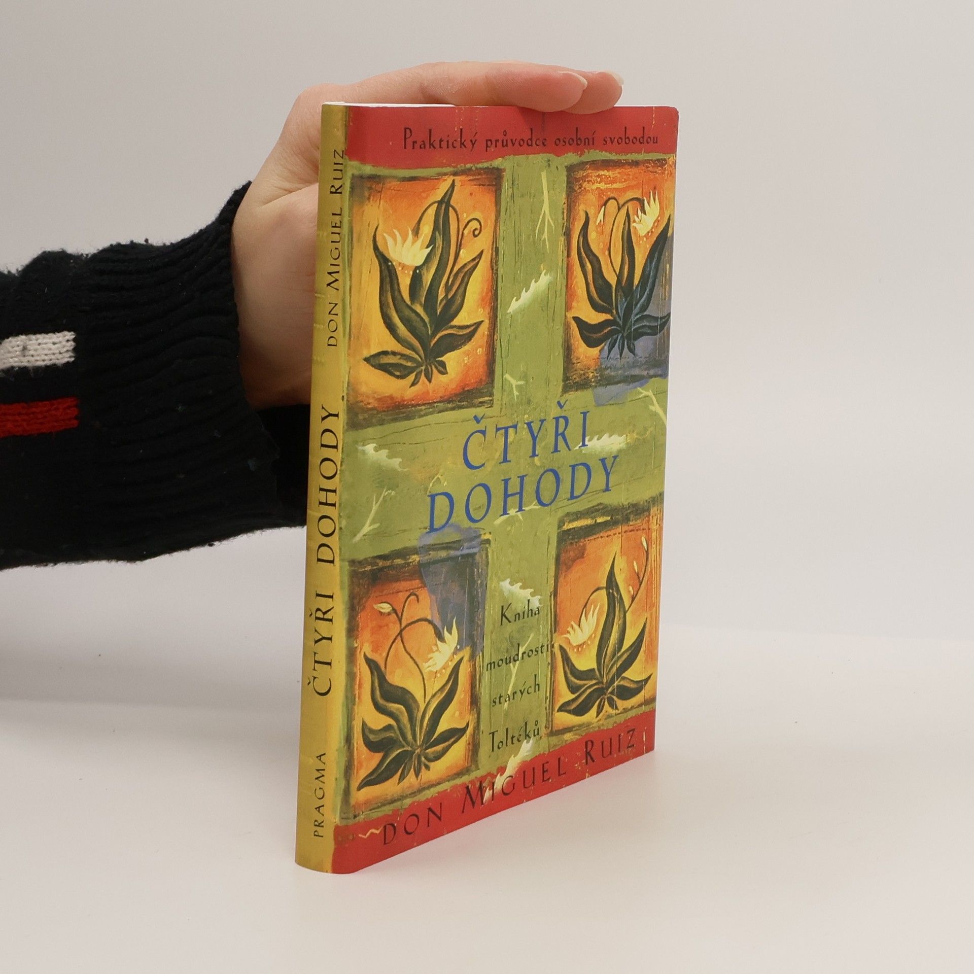 Don Miguel Ruiz Čtyři dohody