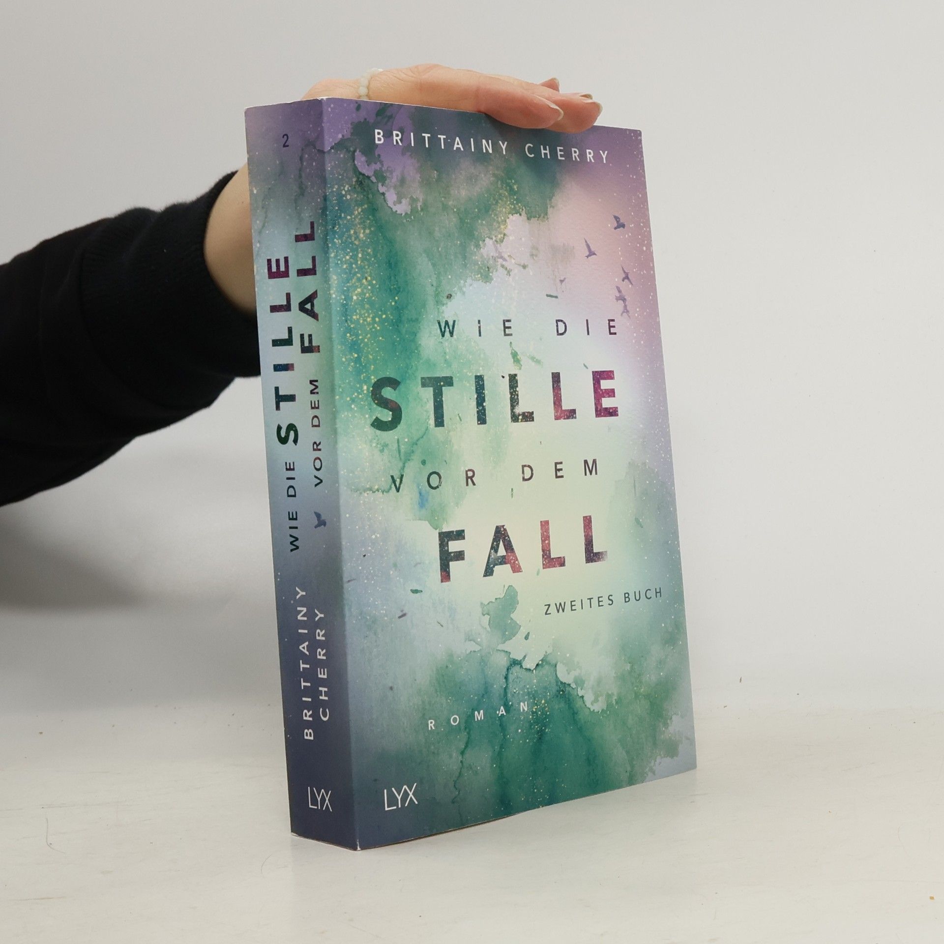 Brittainy C. Cherry Wie die Stille vor dem Fall 2