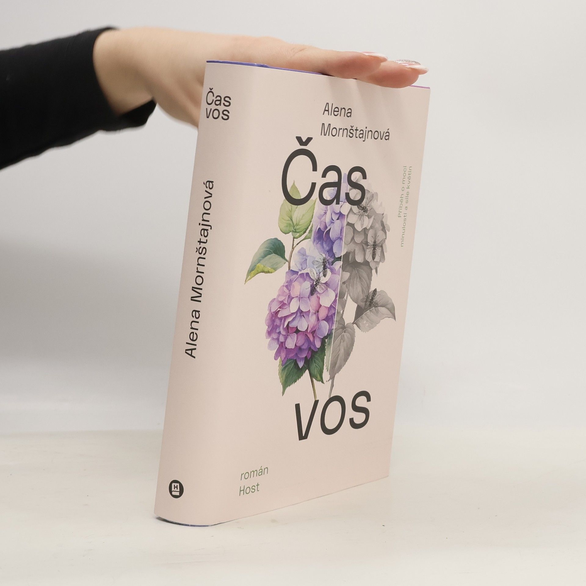 Alena Mornštajnová Čas vos