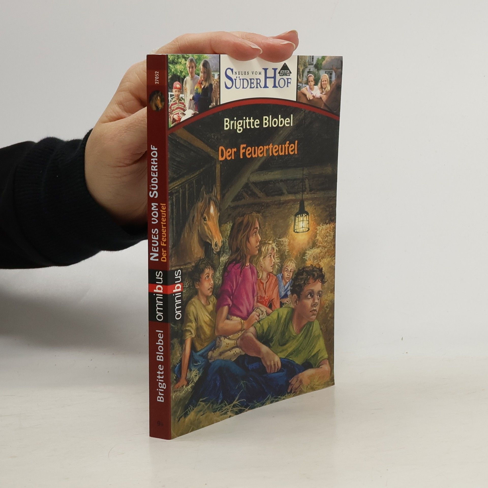 Brigitte Blobel Neues vom Süderhof - 7: Der Feuerteufel