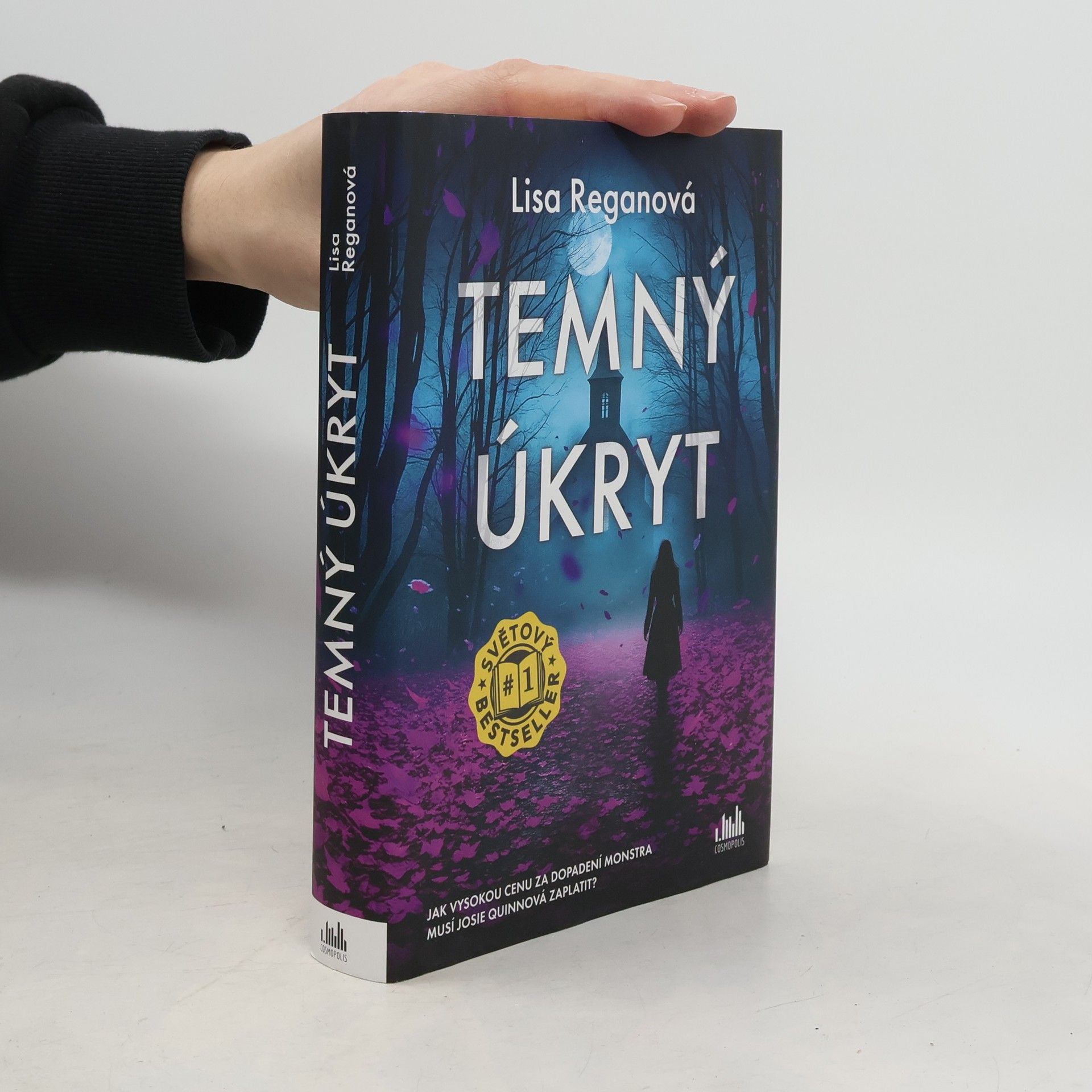 Lisa Regan Temný úkryt