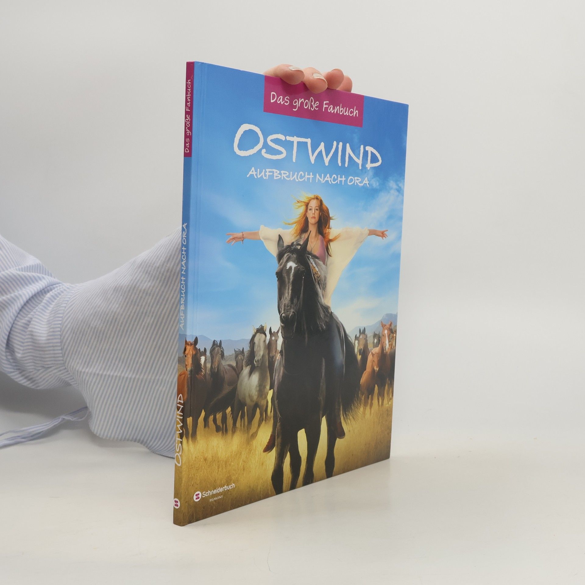 Kolektiv autorů Ostwind - Aufbruch nach Ora: das große Fanbuch