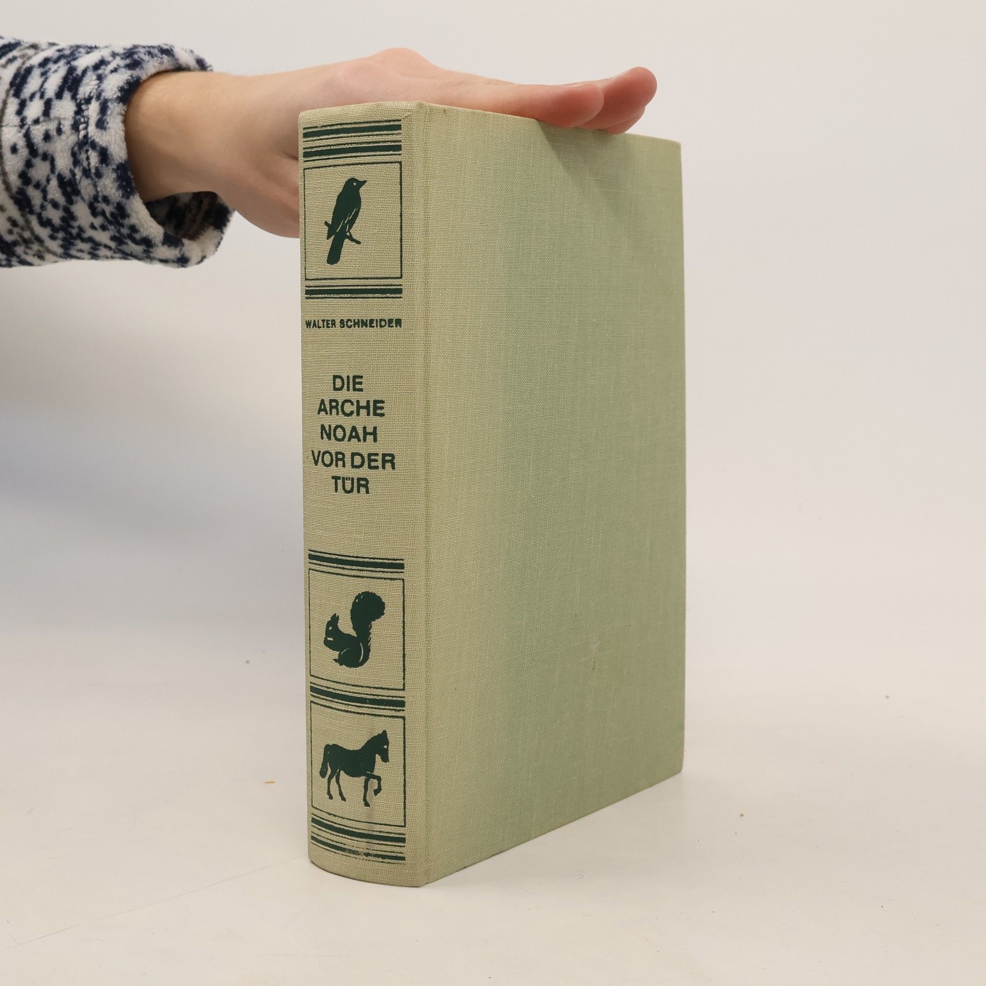Walter Schneider Die Arche Noah vor der Tür