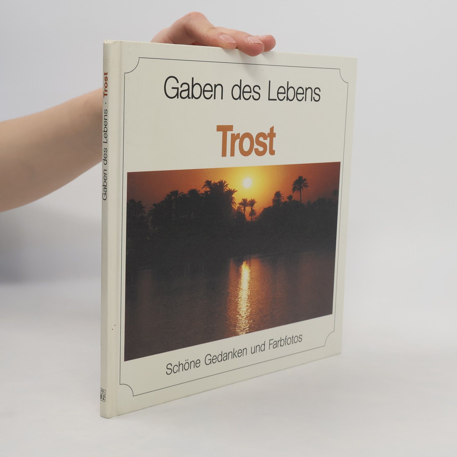 Autorenkollektiv Gaben des Lebens. Trost