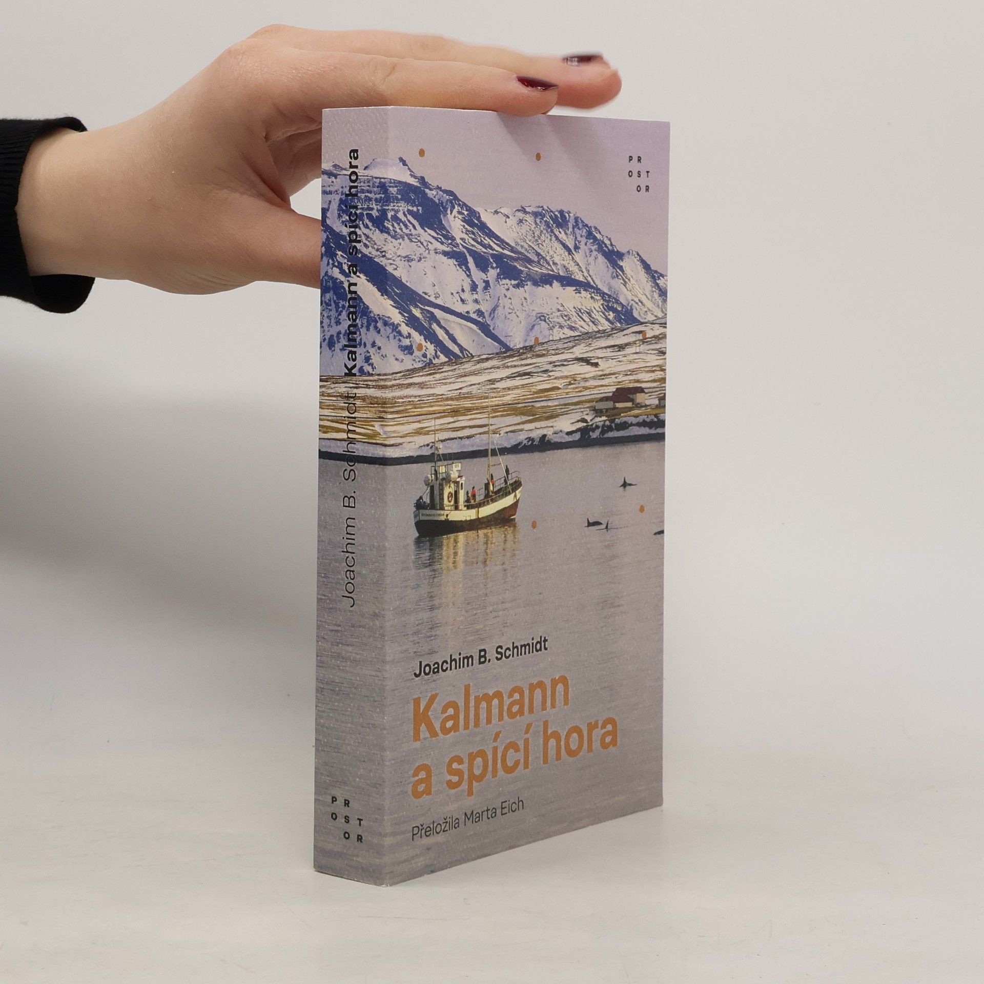 Joachim B. Schmidt Kalmann a spící hora