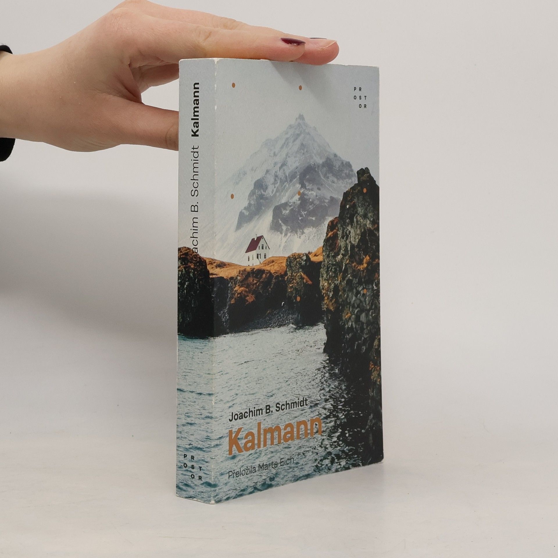 Joachim B. Schmidt Kalmann