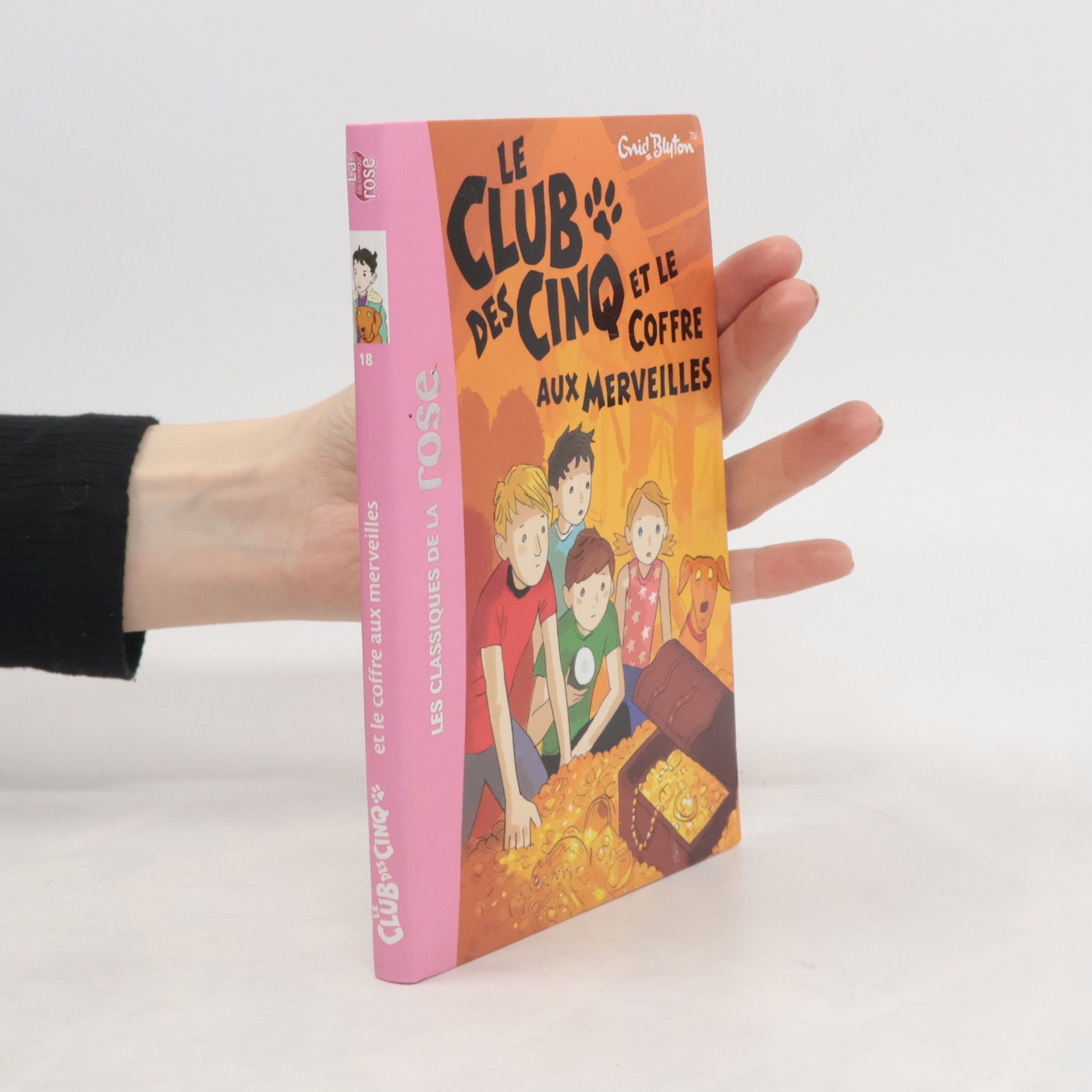 Autores varios Le Club des Cinq et le Coffre aux Merveilles