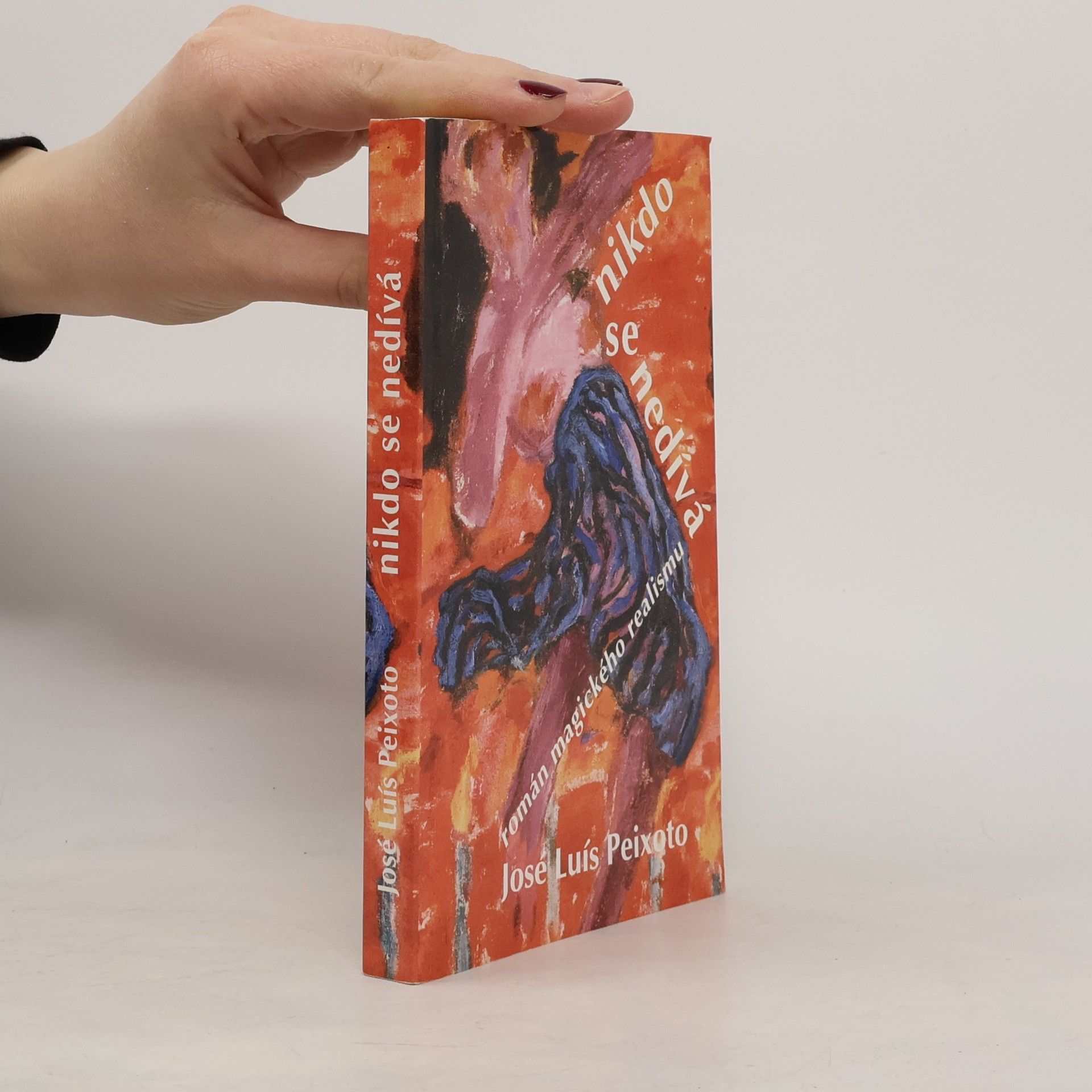 José Luís Peixoto Nikdo se nedívá