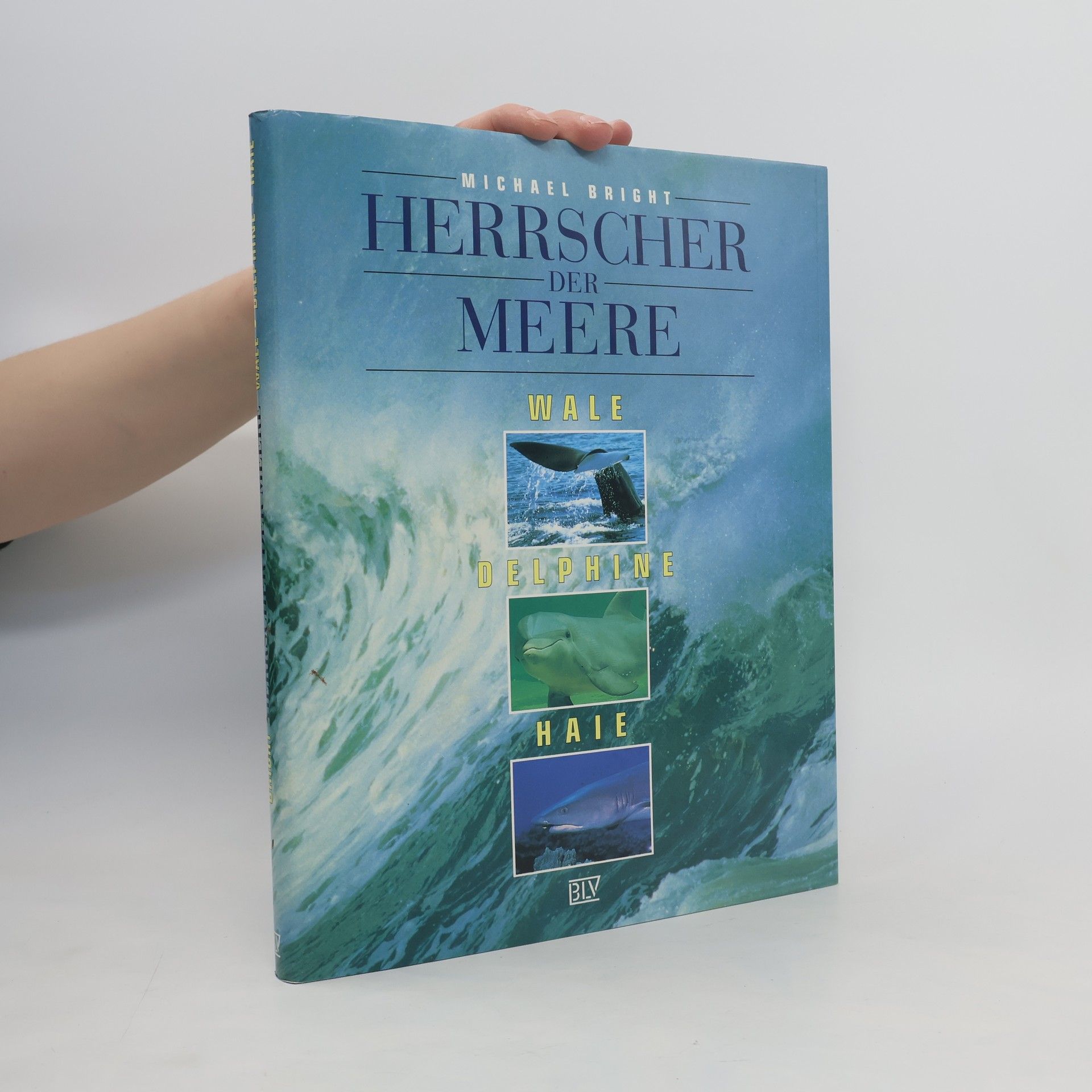 Michael Bright Herrscher der Meere