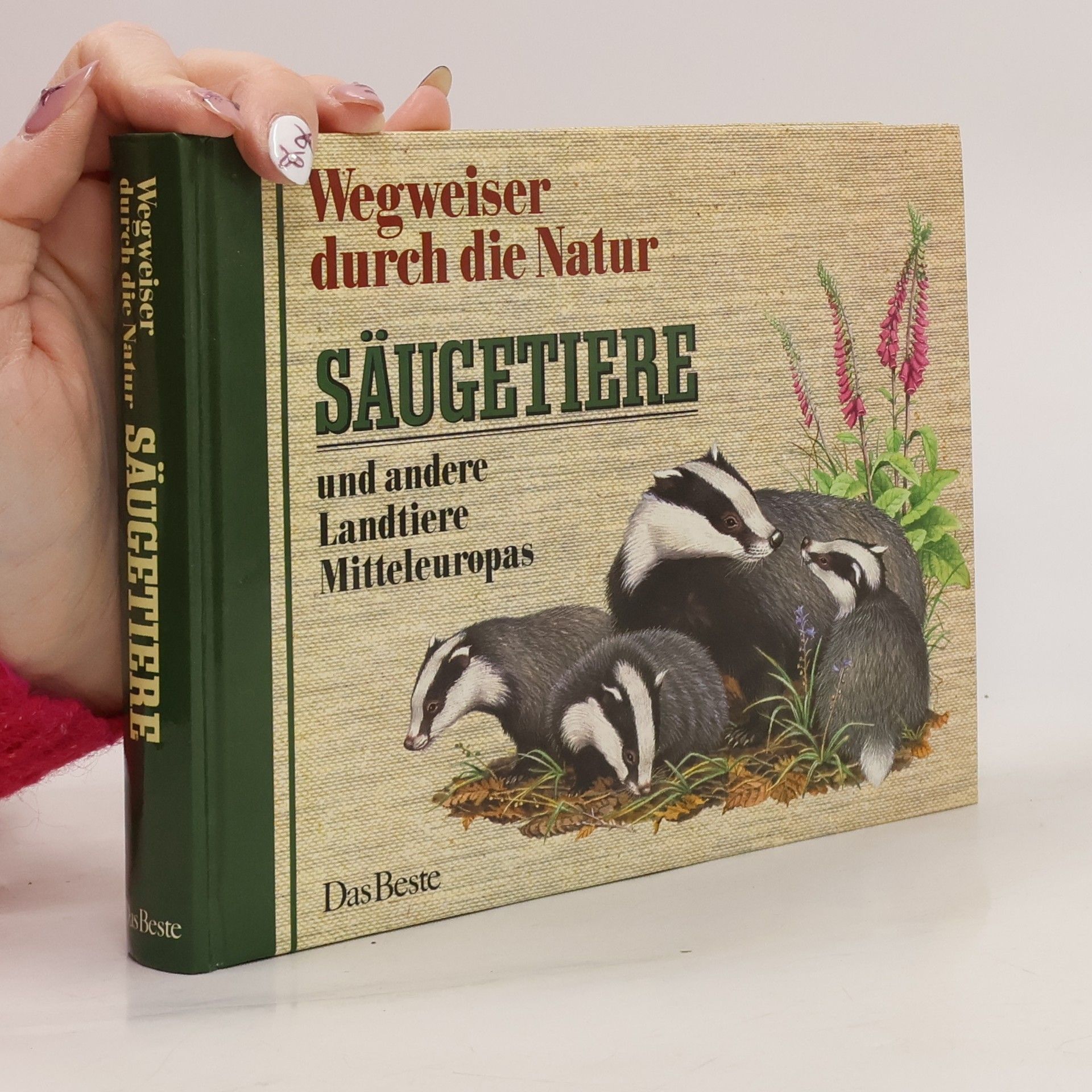 Wegweiser durch die Natur. Säugetiere und andere Landtiere Mitteleuropas