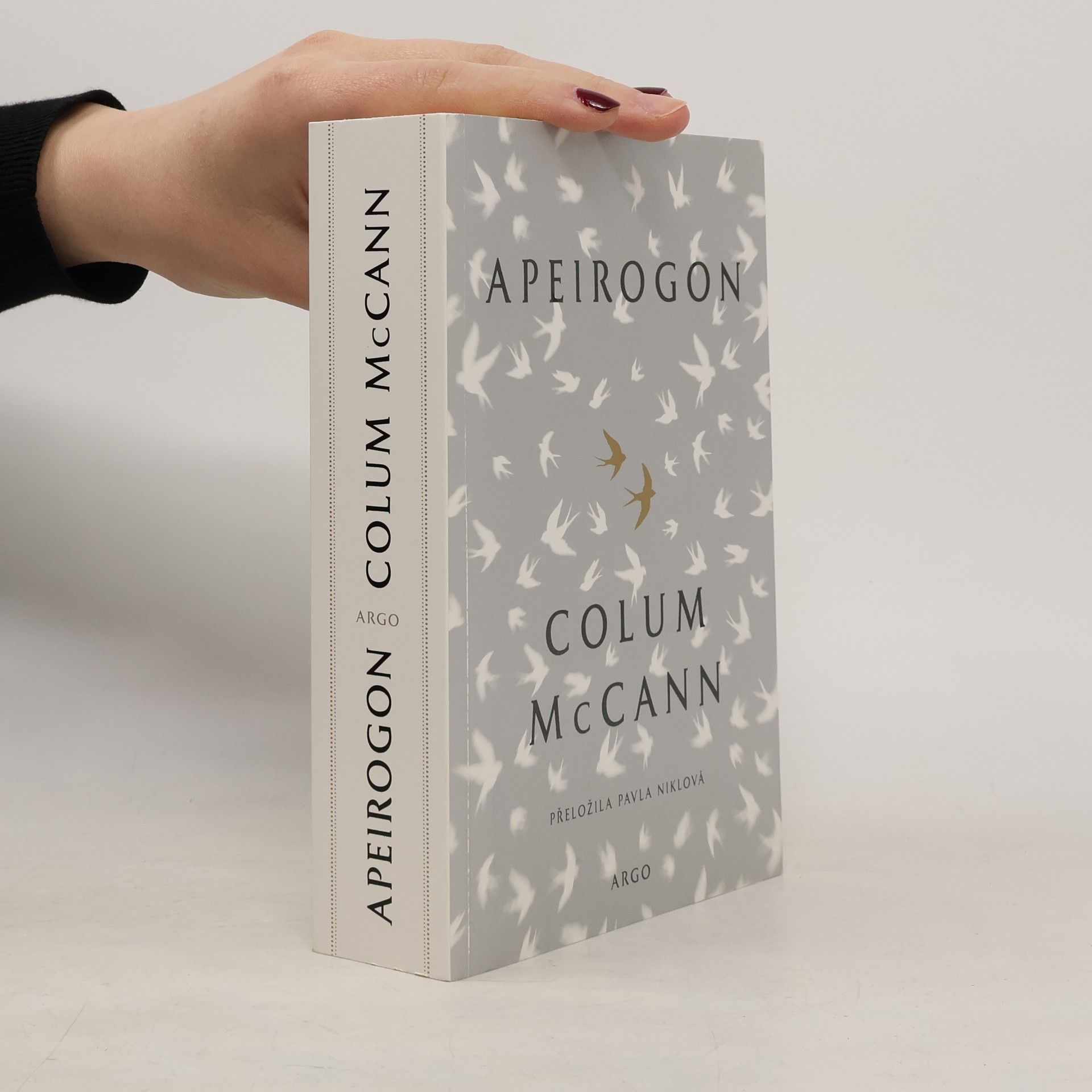 Colum McCann Apeirogon