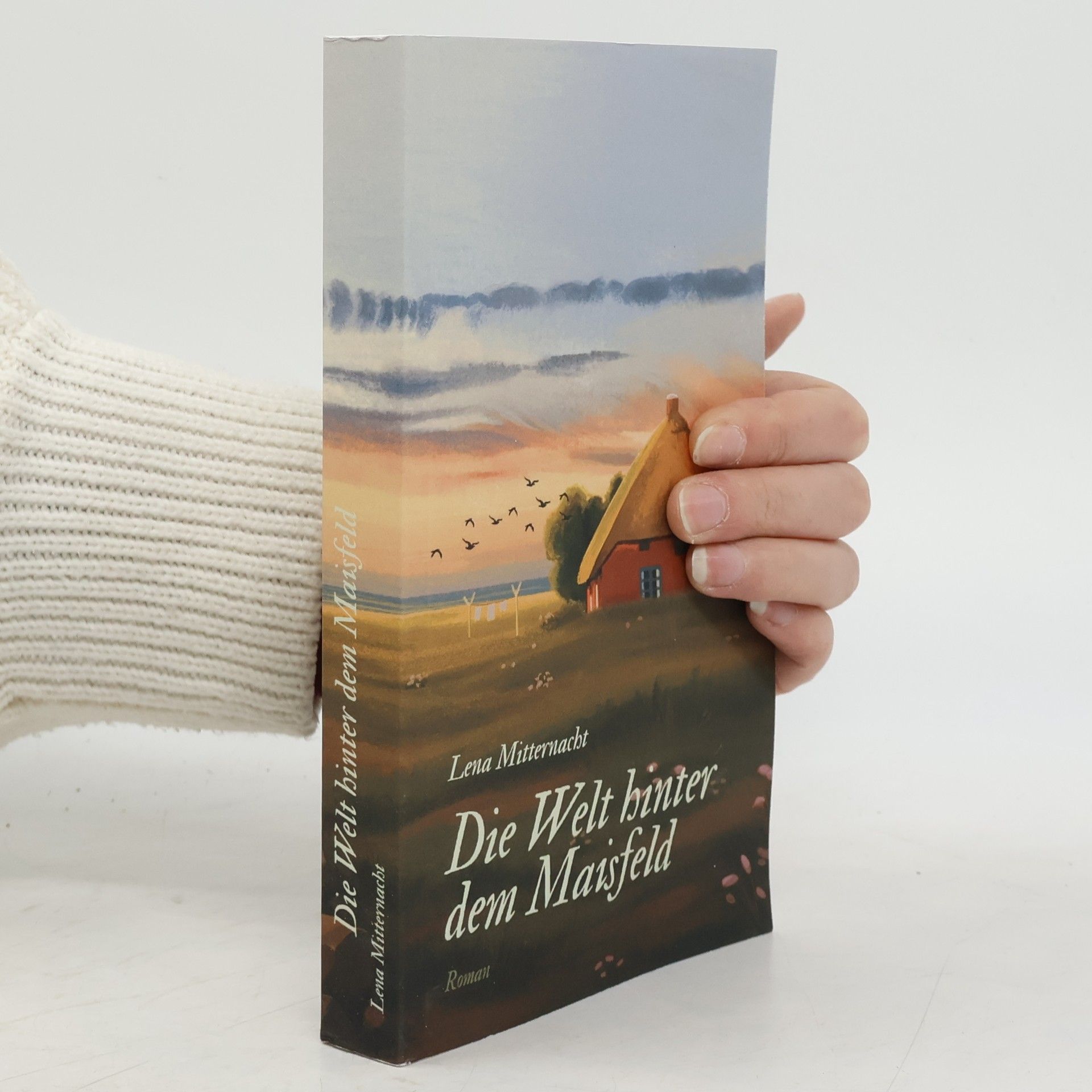 Lena Mitternacht Die Welt hinter dem Maisfeld