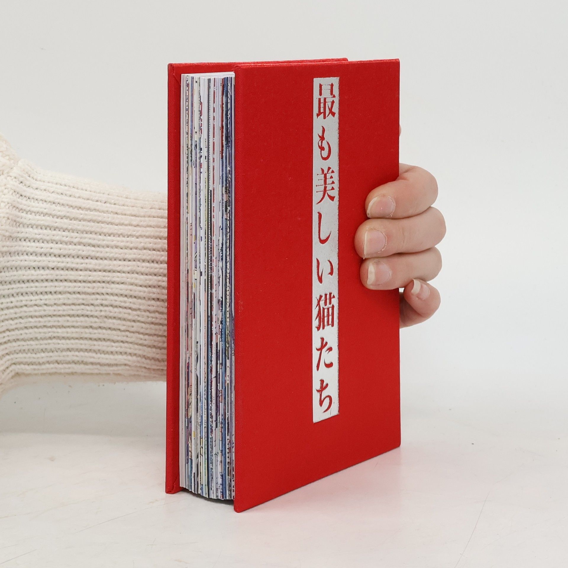 Jocelyn Bouquillard Katzen