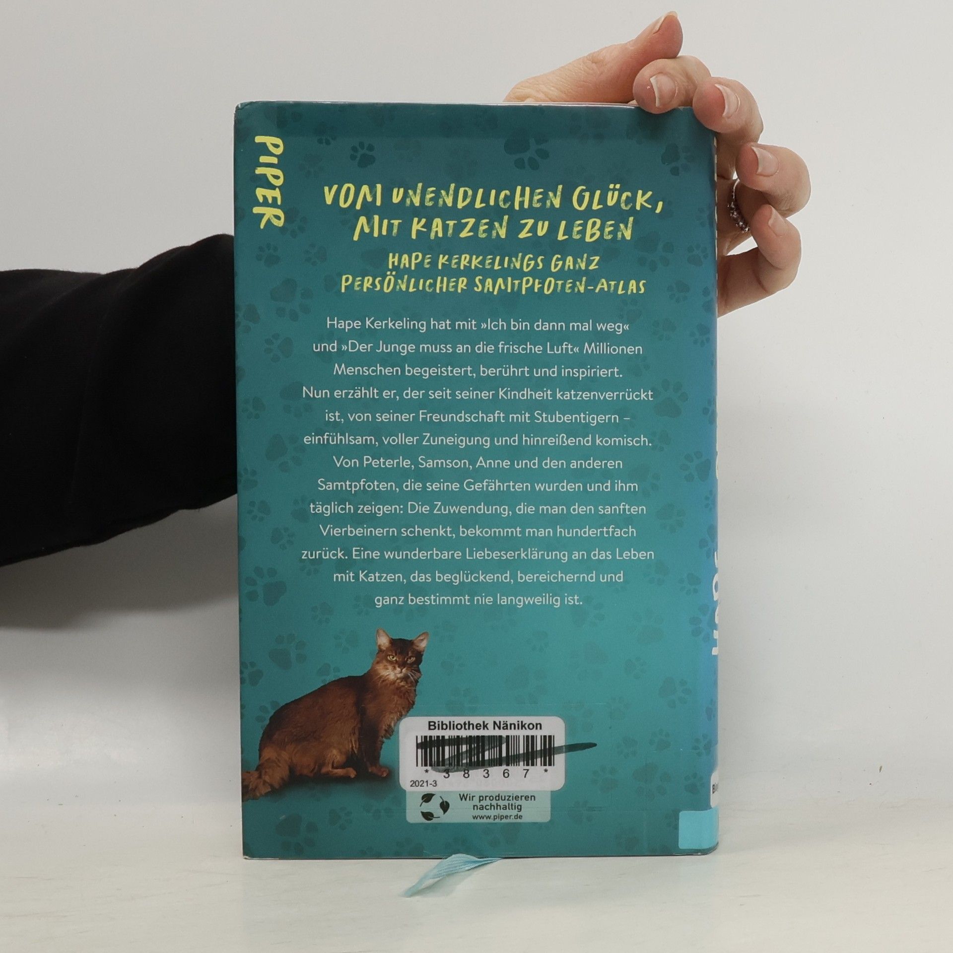 Hape Kerkeling Pfoten vom Tisch! : Meine Katzen, andere Katzen und ich