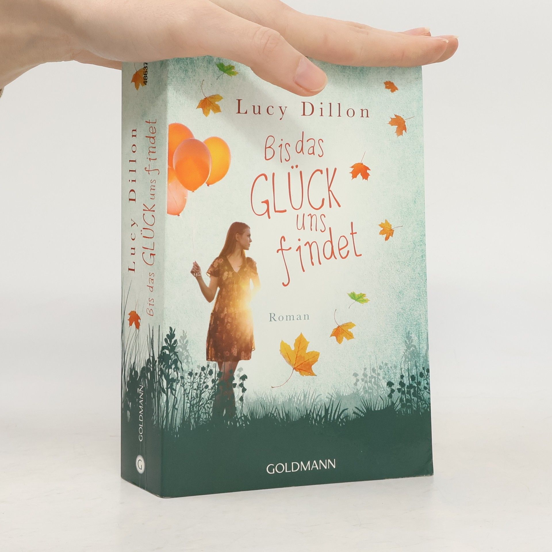 Lucy Dillon Bis das Glück uns findet