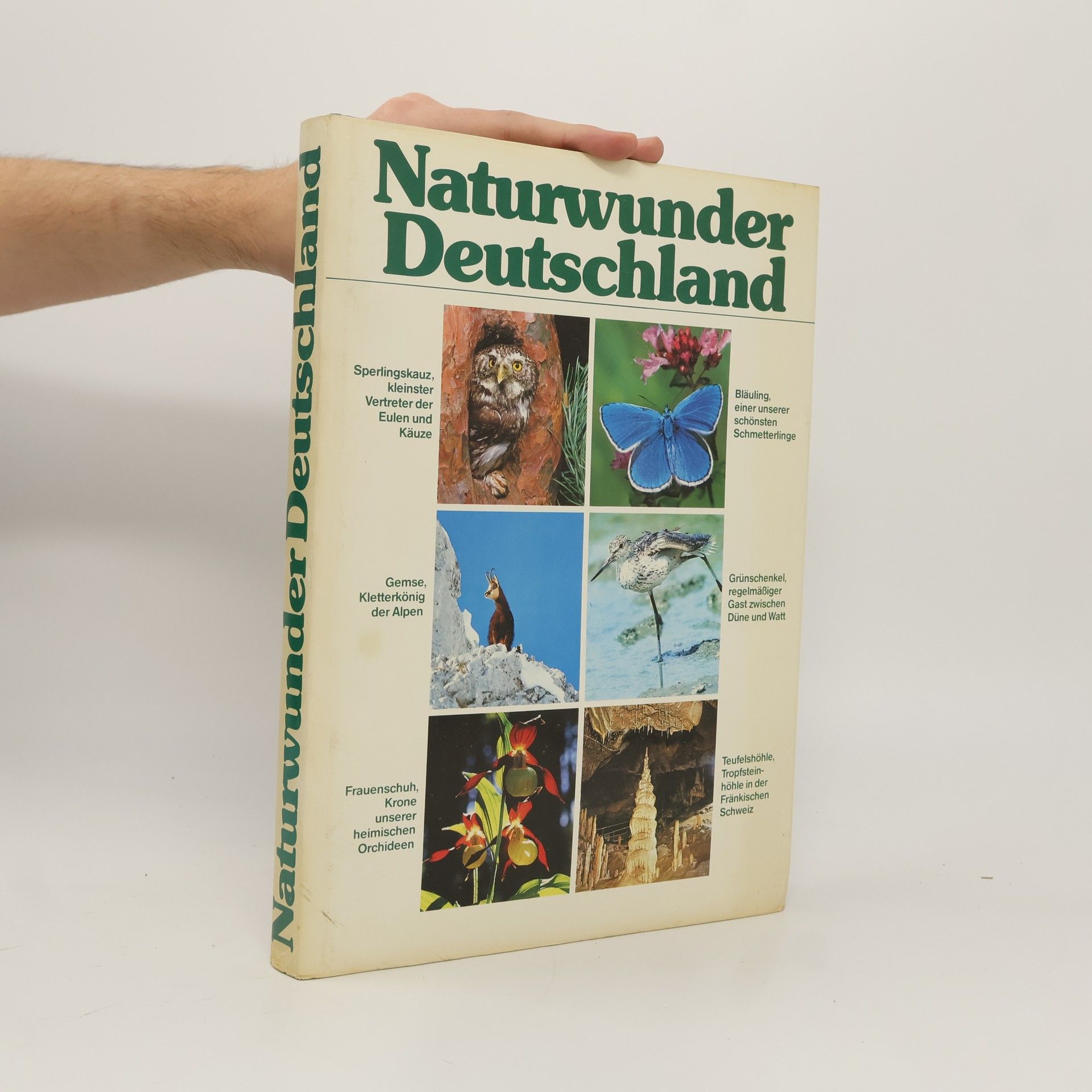 Autorenkollektiv Naturwunder Deutschland