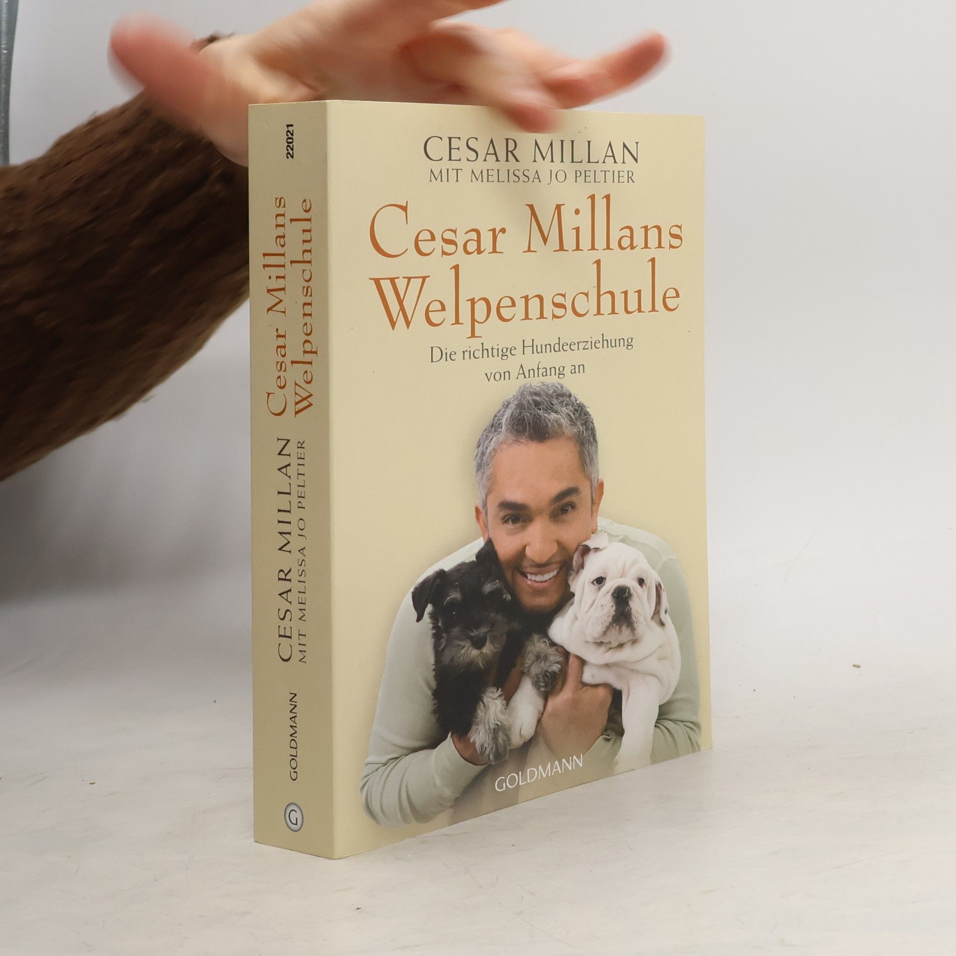 Cesar Millan Cesar Millans Welpenschule