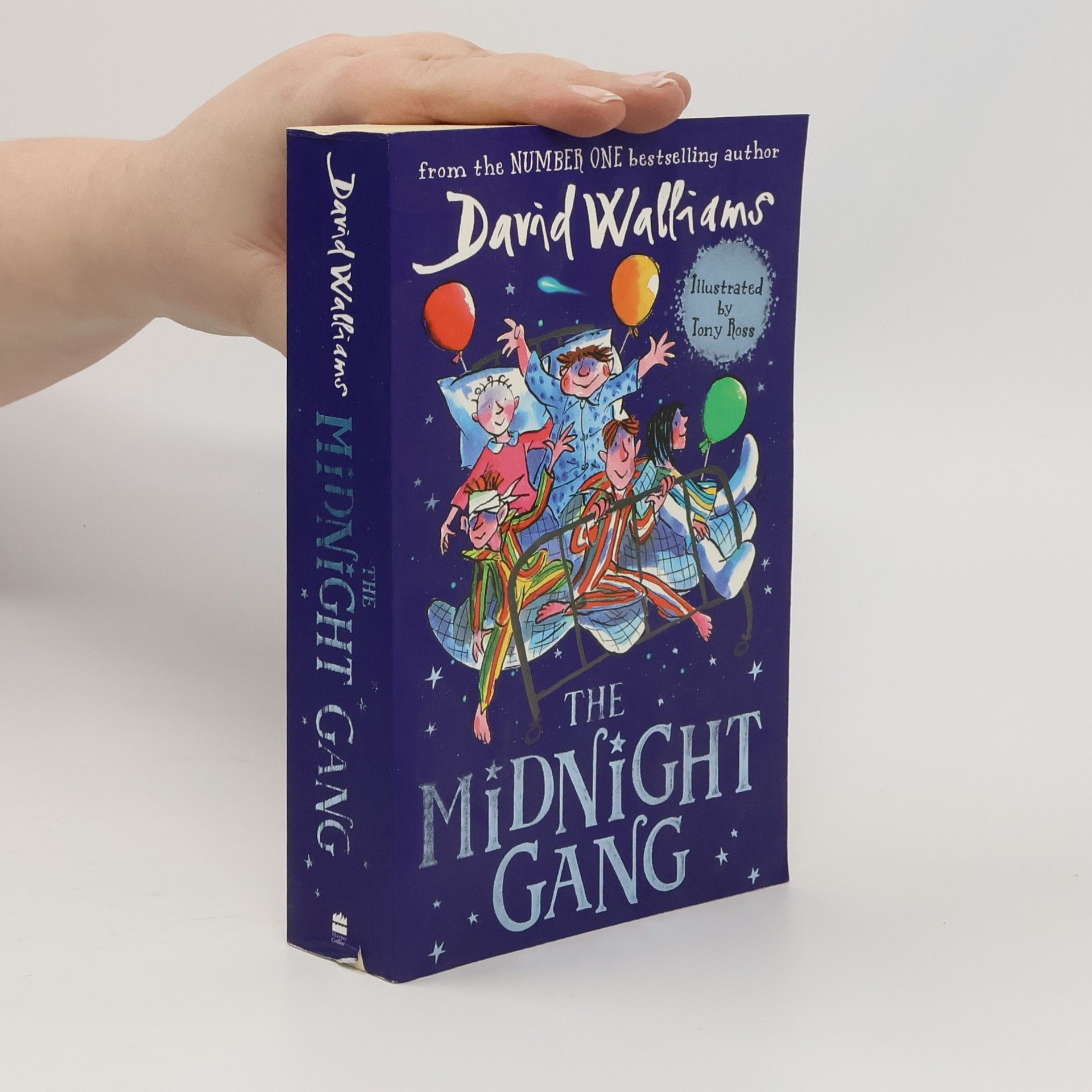 David Walliams The Midnight Gang