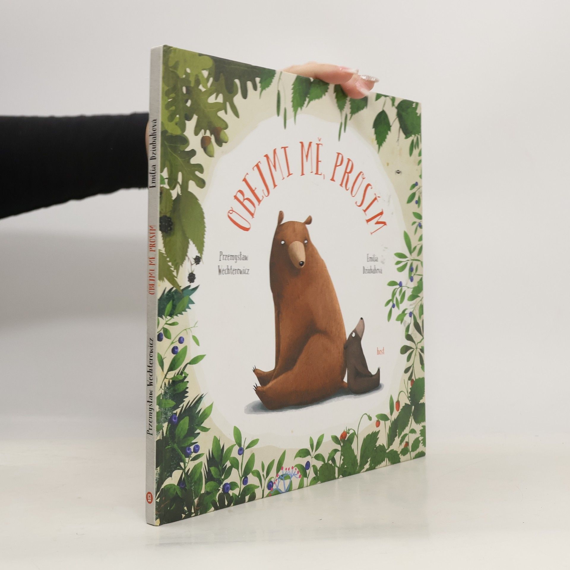 Przemysław Wechterowicz Obejmi mě, prosím