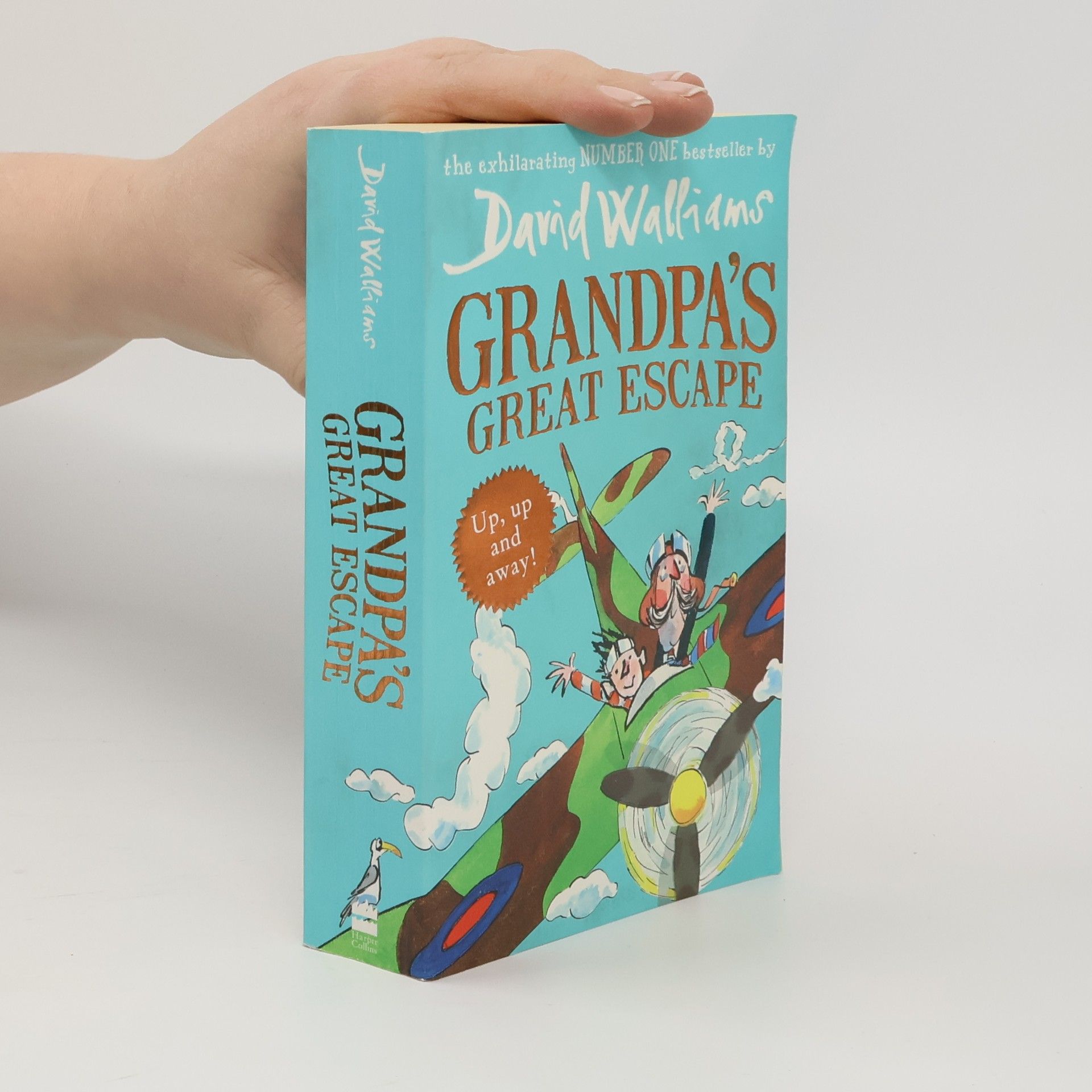 David Walliams Grandpa's Great Escape
