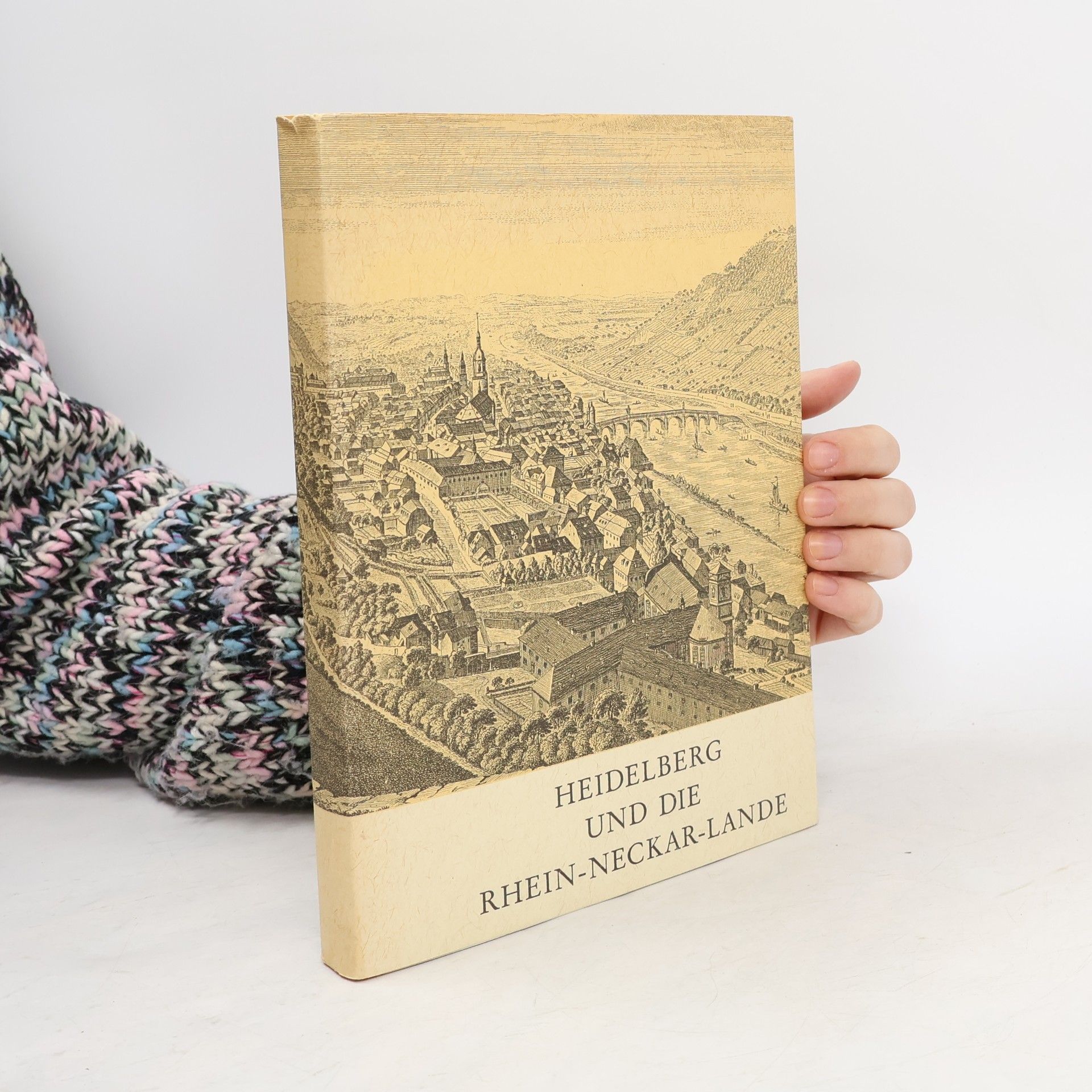 Gottfried Pfeifer Heidelberg und die Rhein-Neckar-Lande