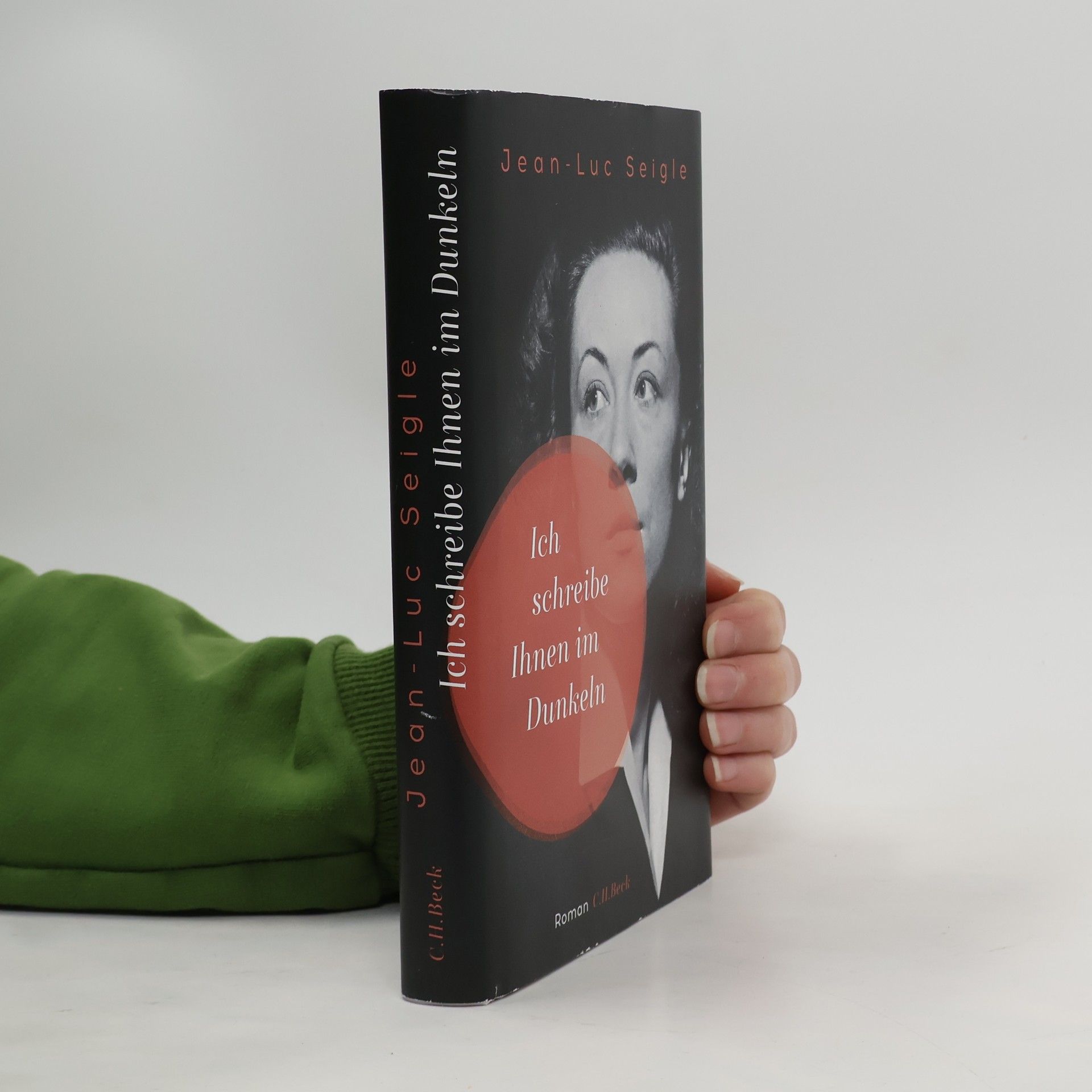 Jean Luc Seigle Ich schreibe Ihnen im Dunkeln