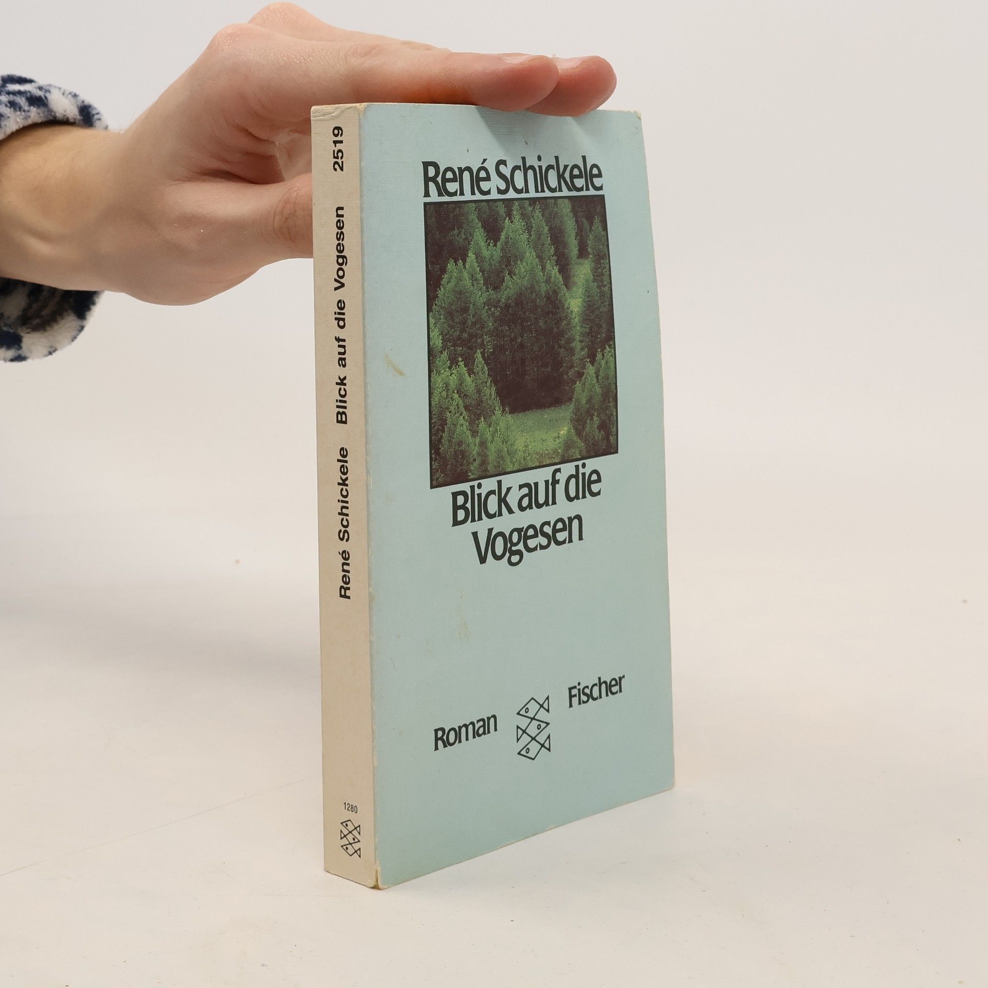 Blick auf die Vogesen