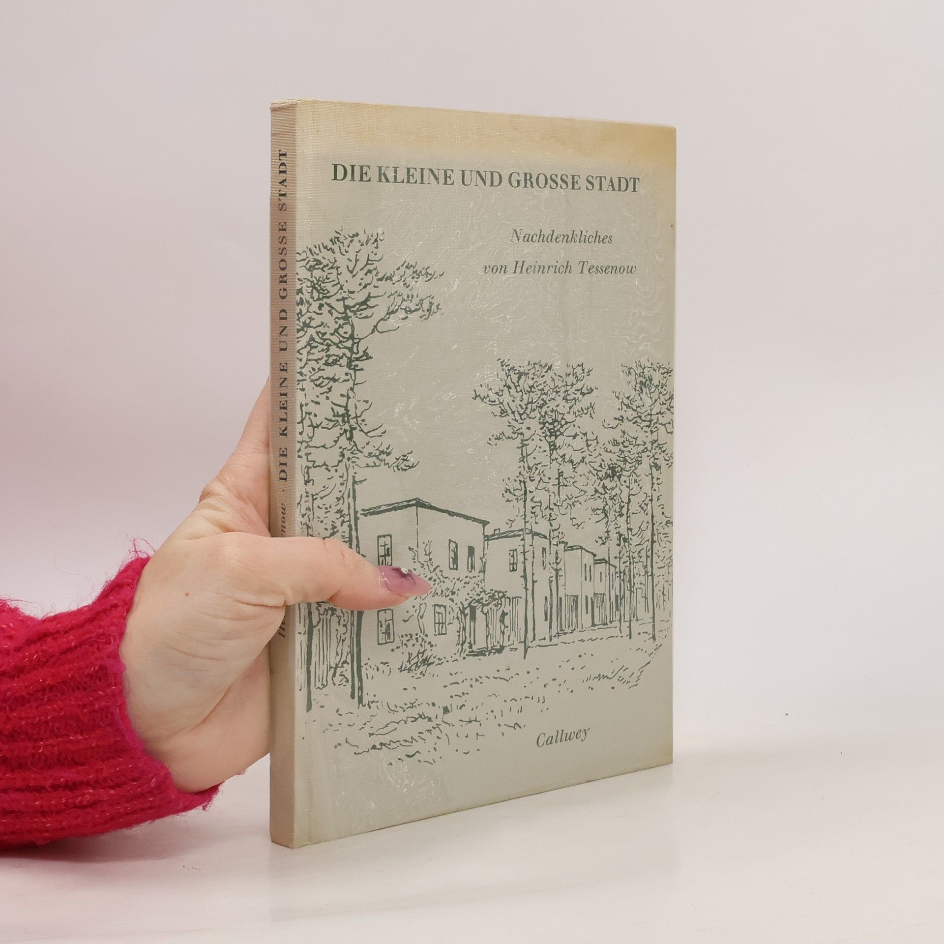 Die kleine und grosse Stadt