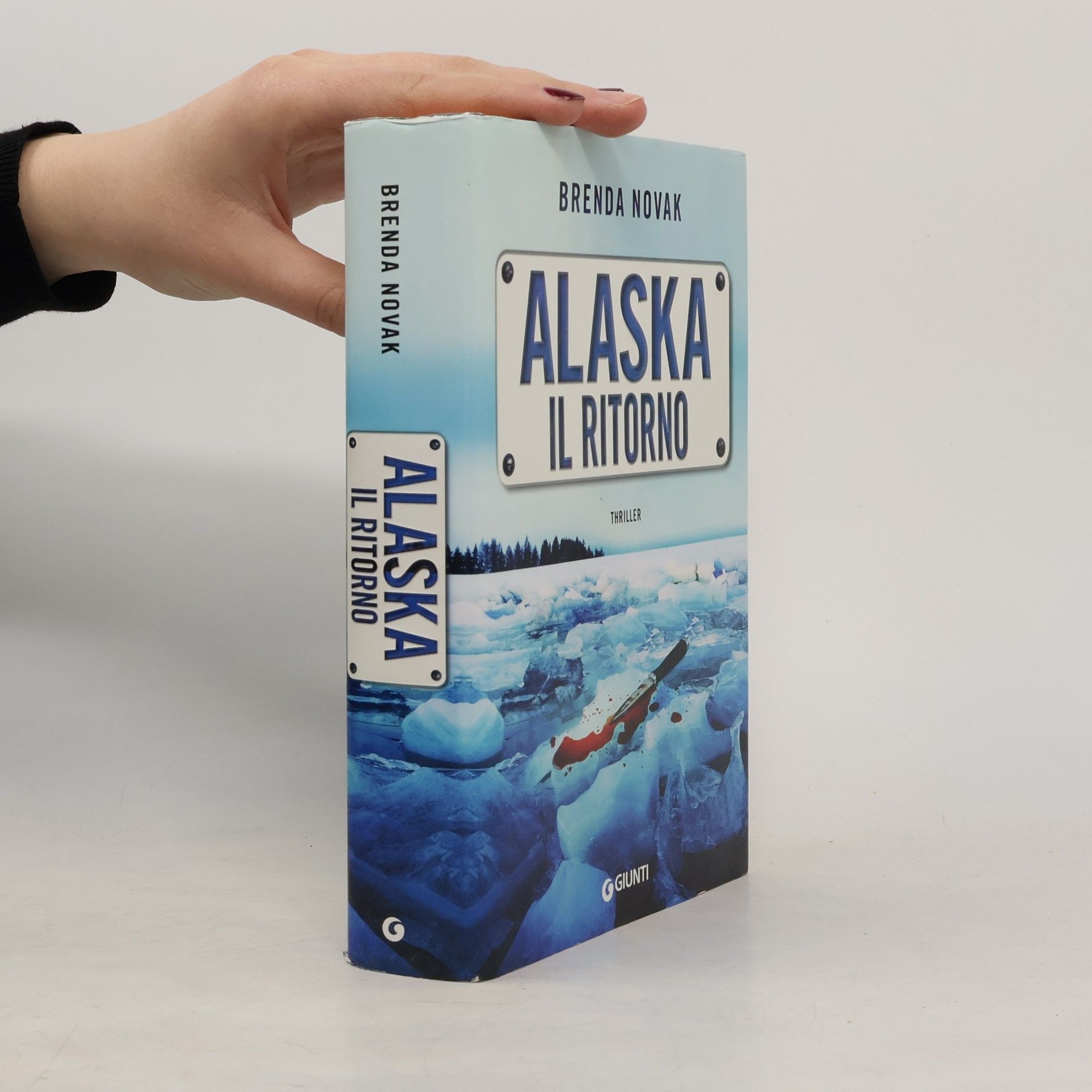 Brenda Novak Alaska. Il ritorno