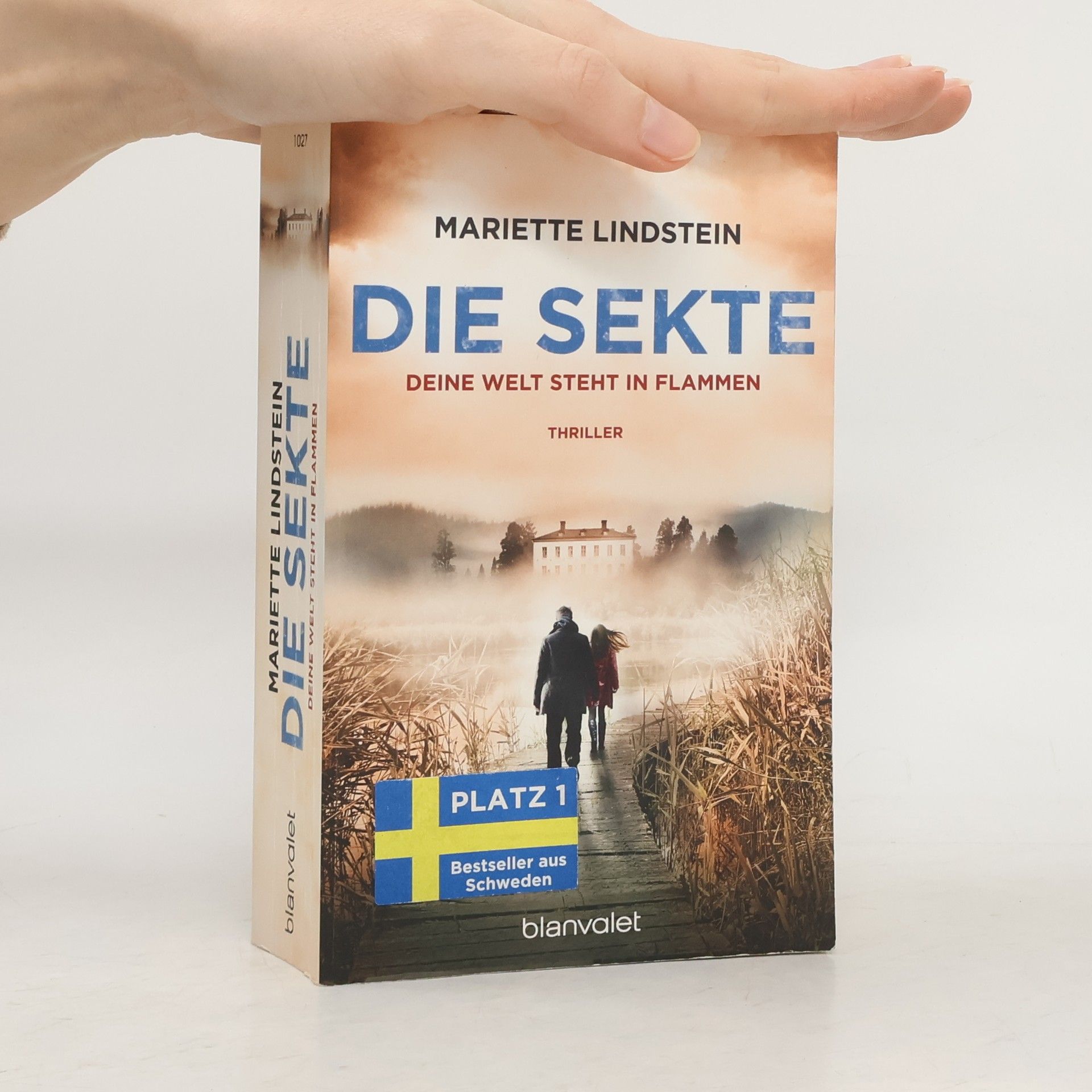 Mariette Lindstein Die Sekte: Deine Welt steht in Flammen