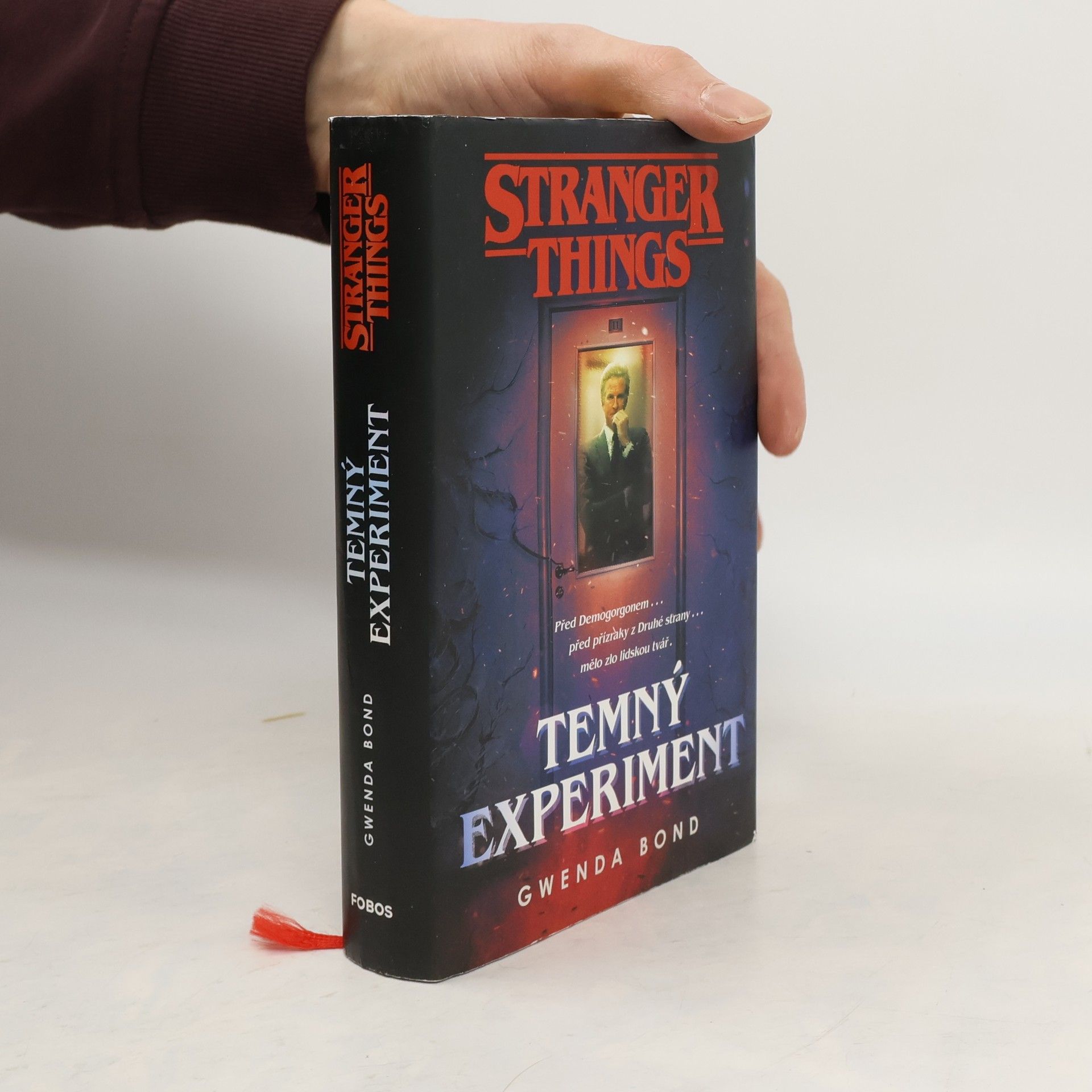 Stranger Things. Temný experiment