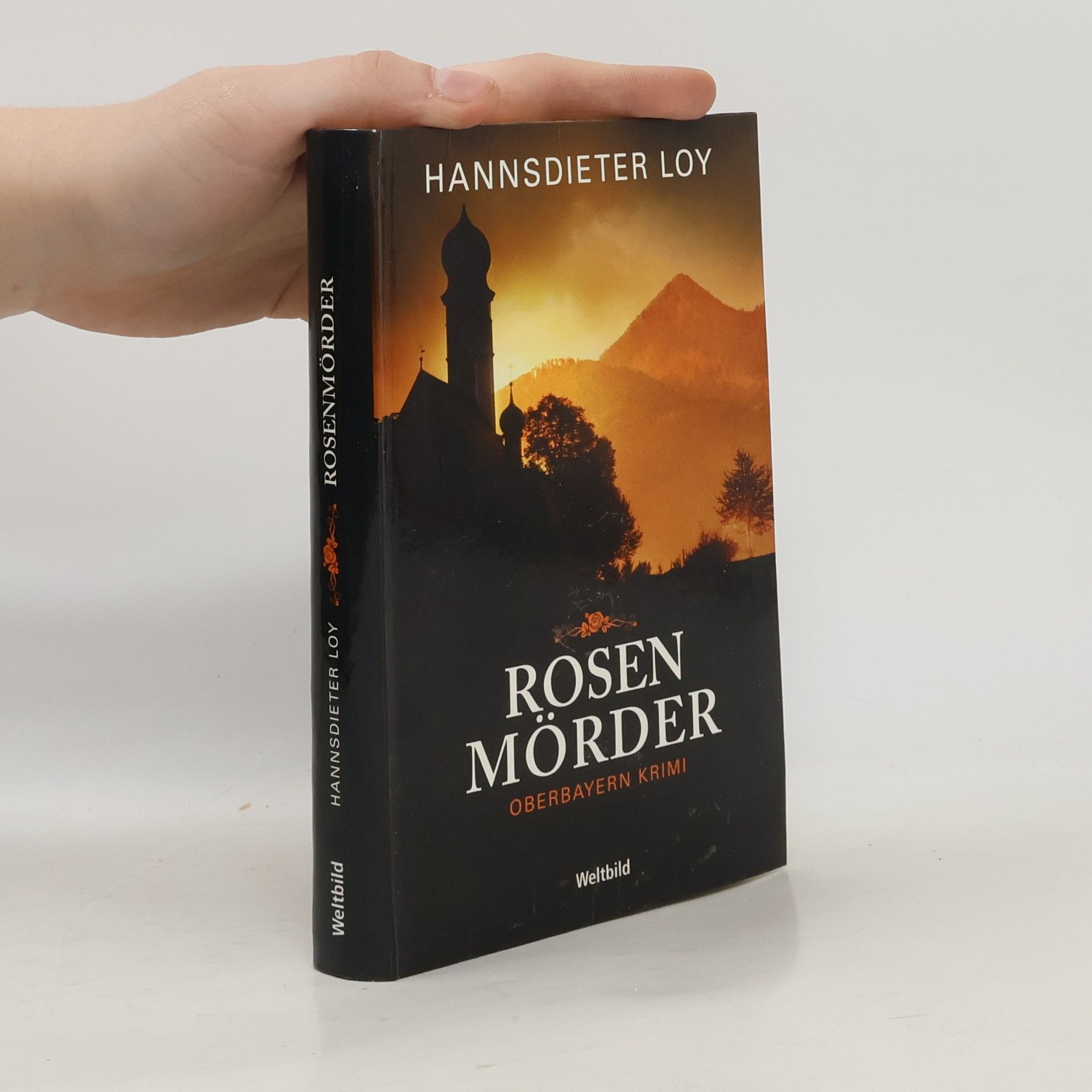 Hannsdieter Loy Rosenschmerz