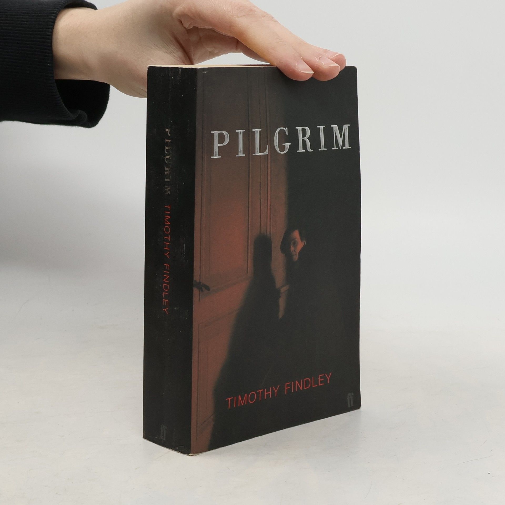 Timothy Findley Pilgrim