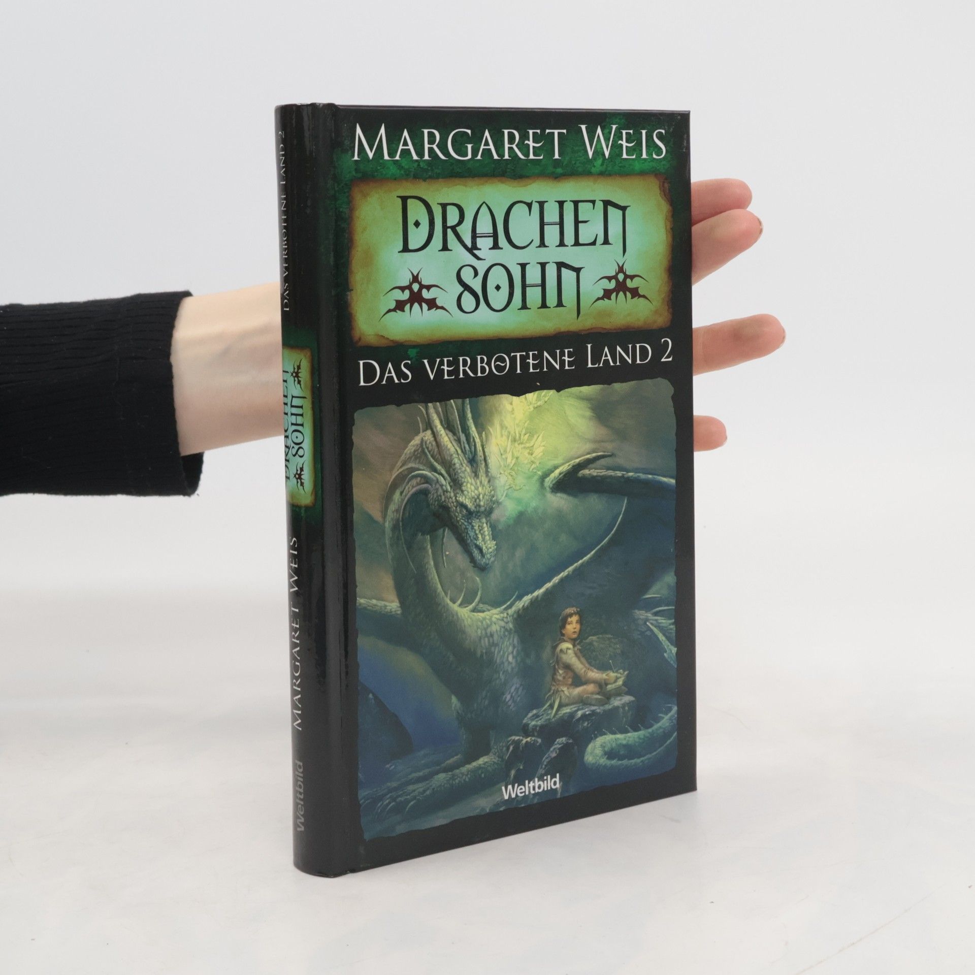 Drachenbrüder- Das verbotene Land 2