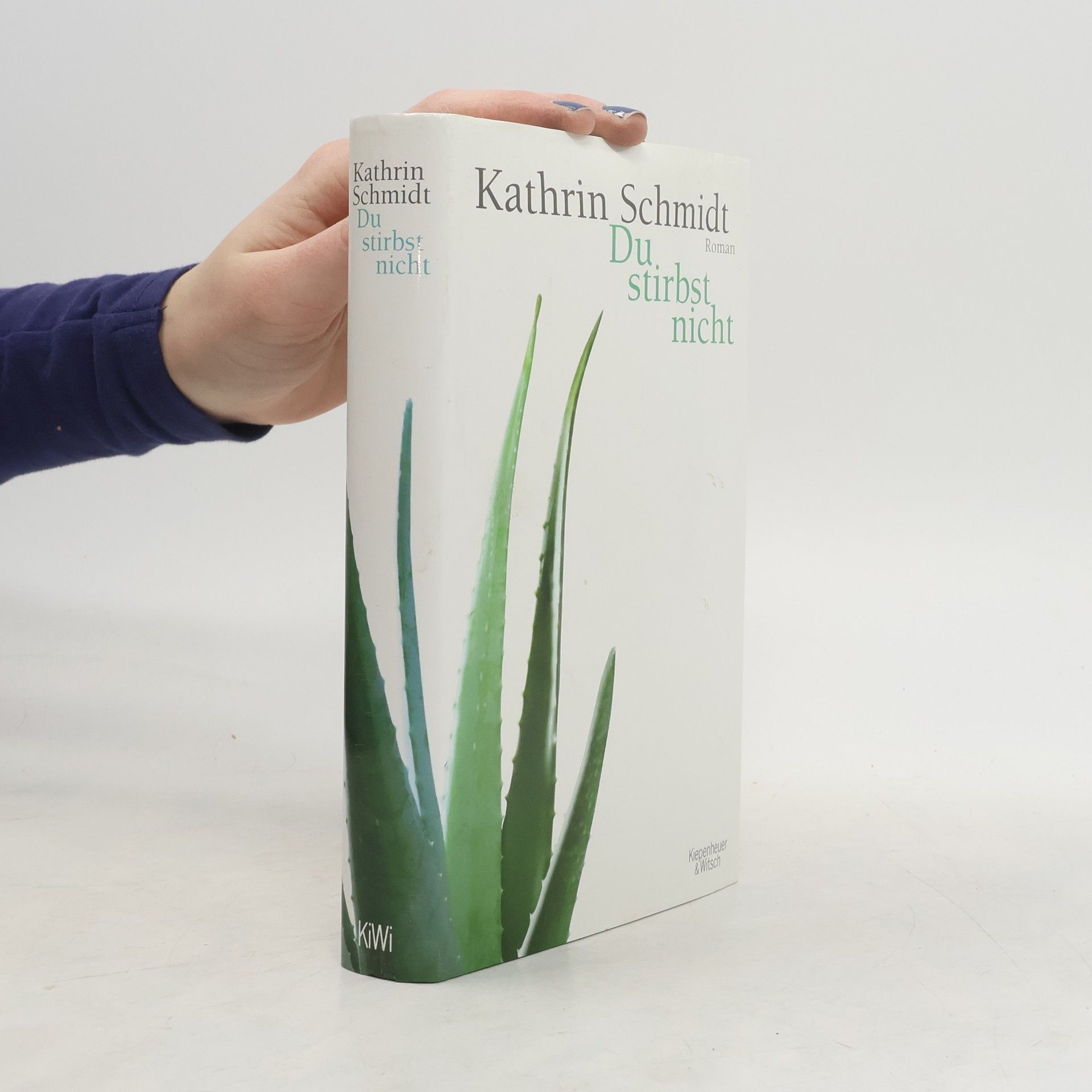 Kathrin Schmidt Du stirbst nicht